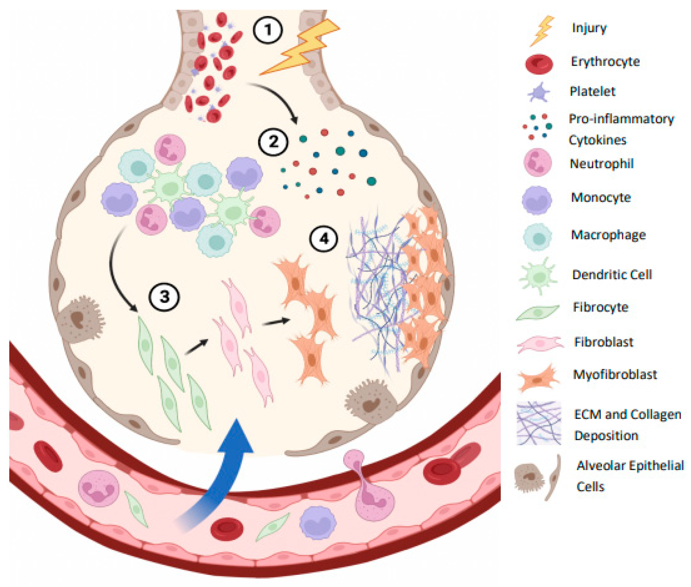 Preprints 112394 g002