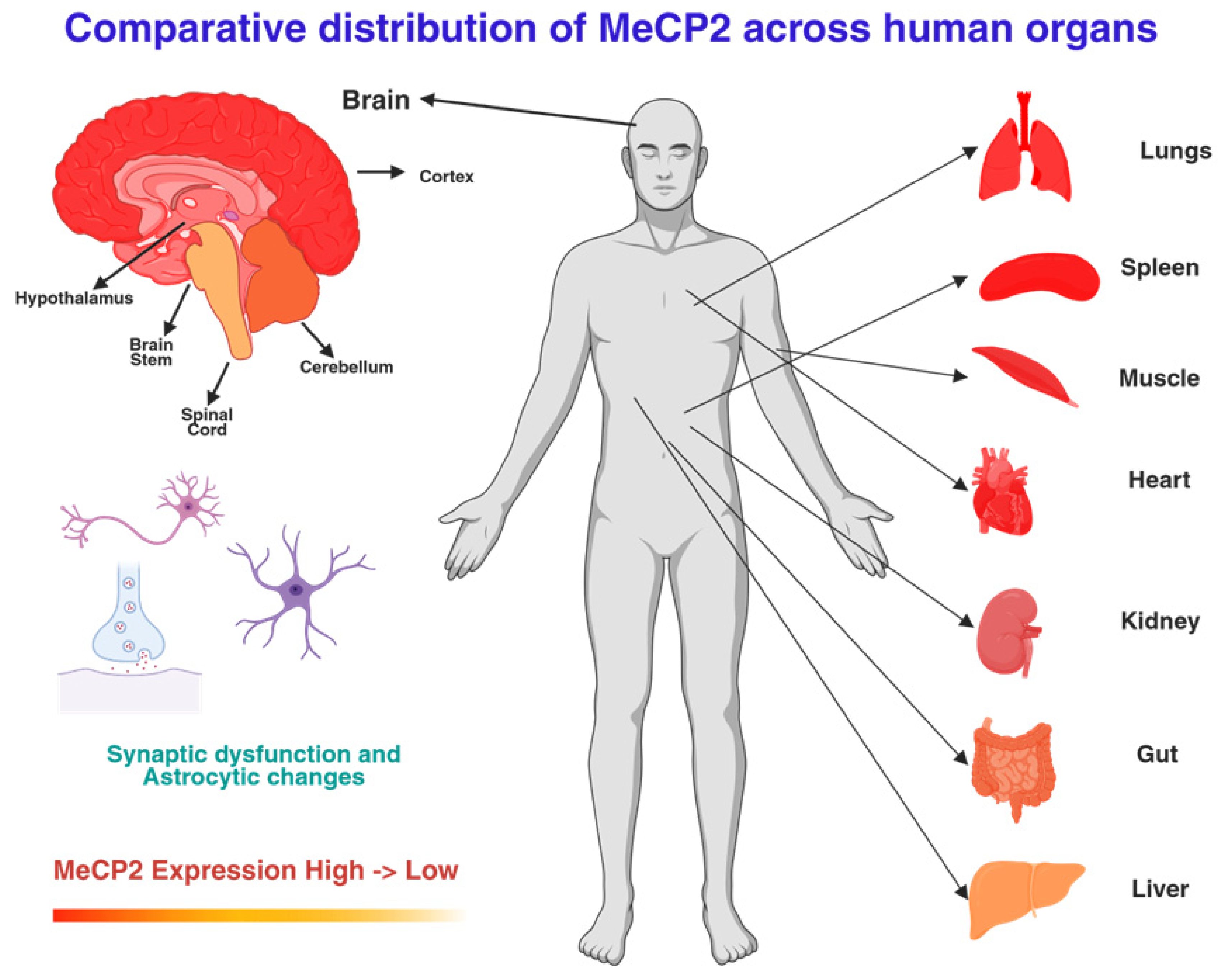 Preprints 186518 g001