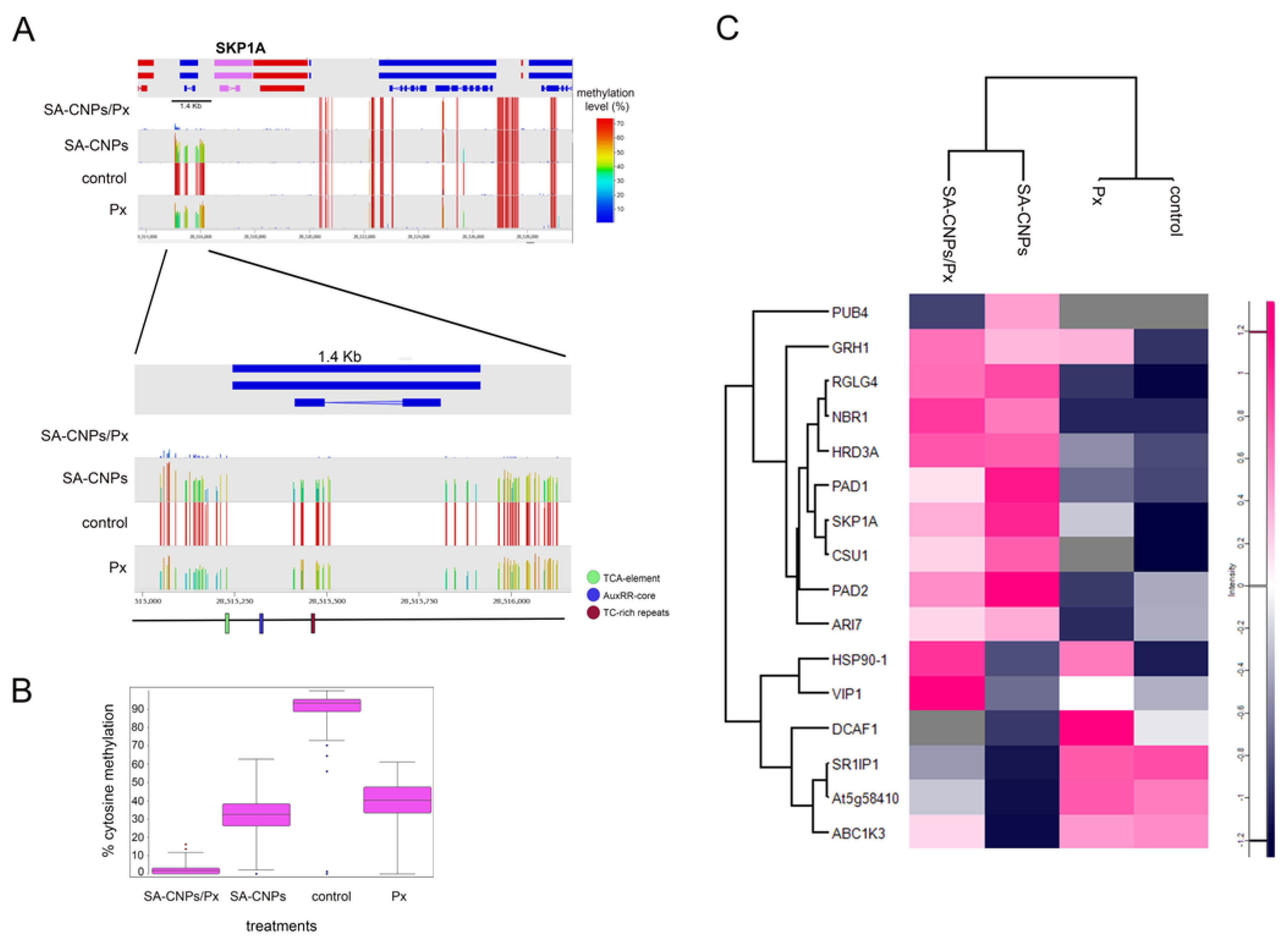 Preprints 194261 g003