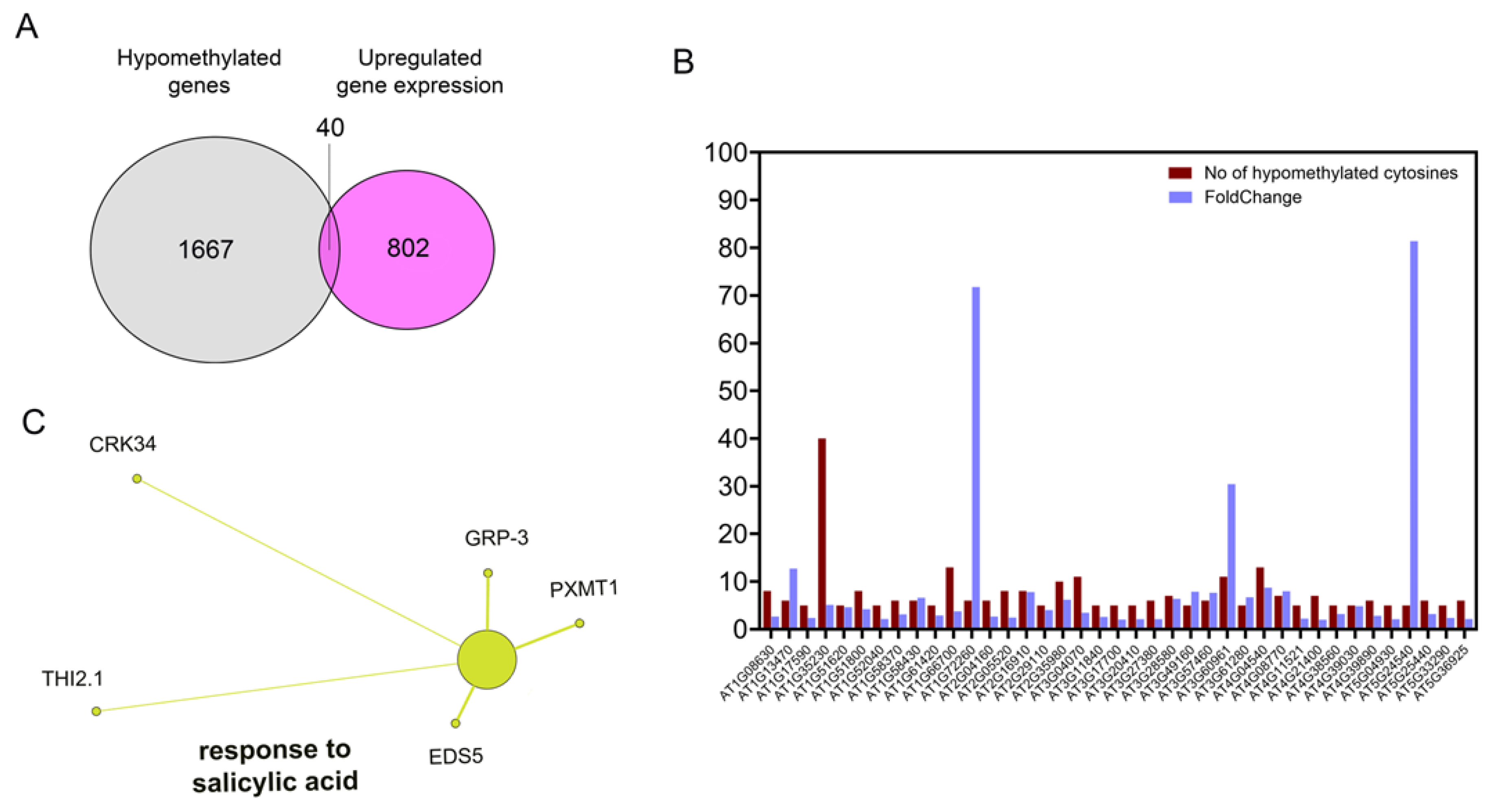 Preprints 194261 g005