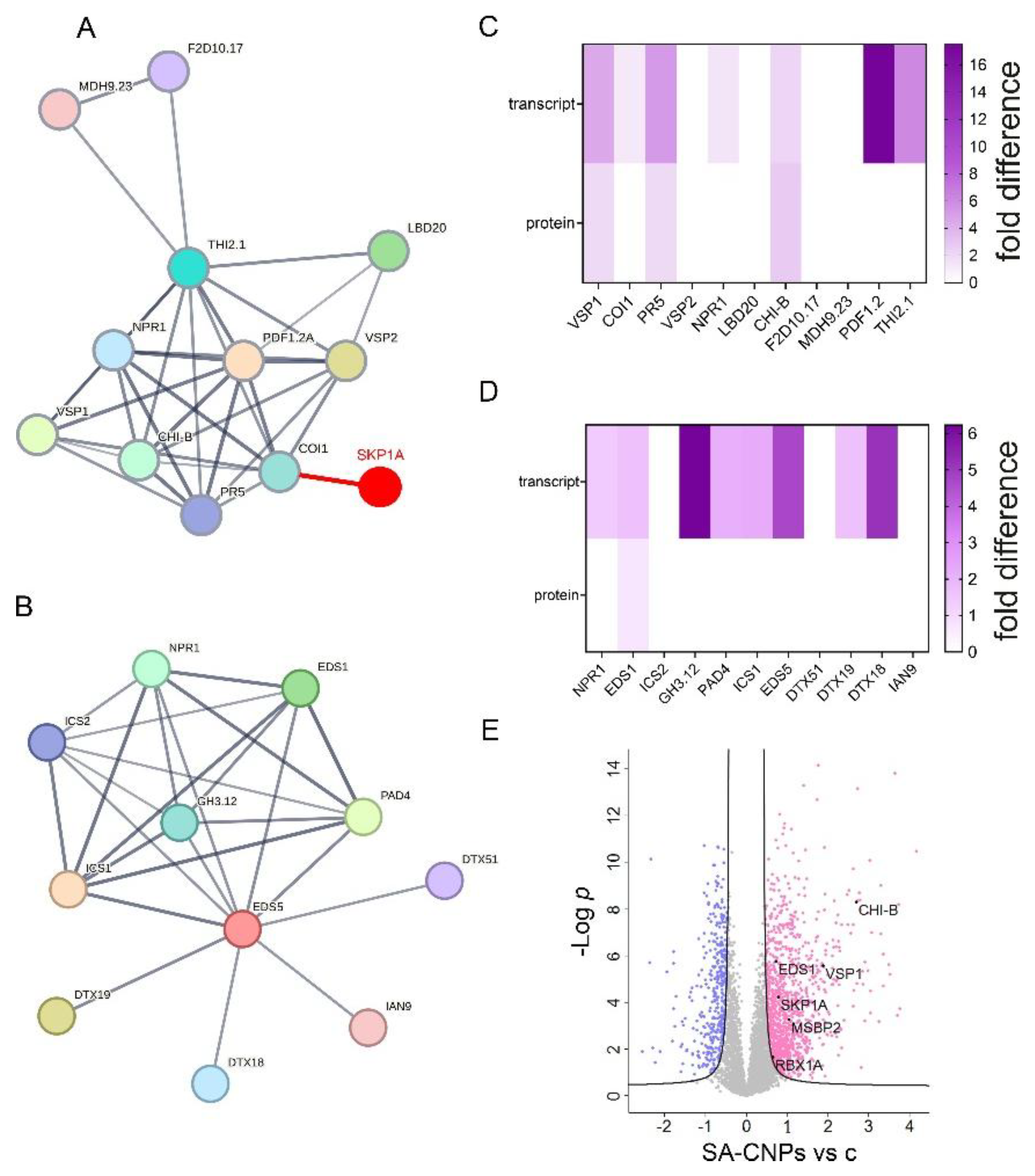 Preprints 194261 g006
