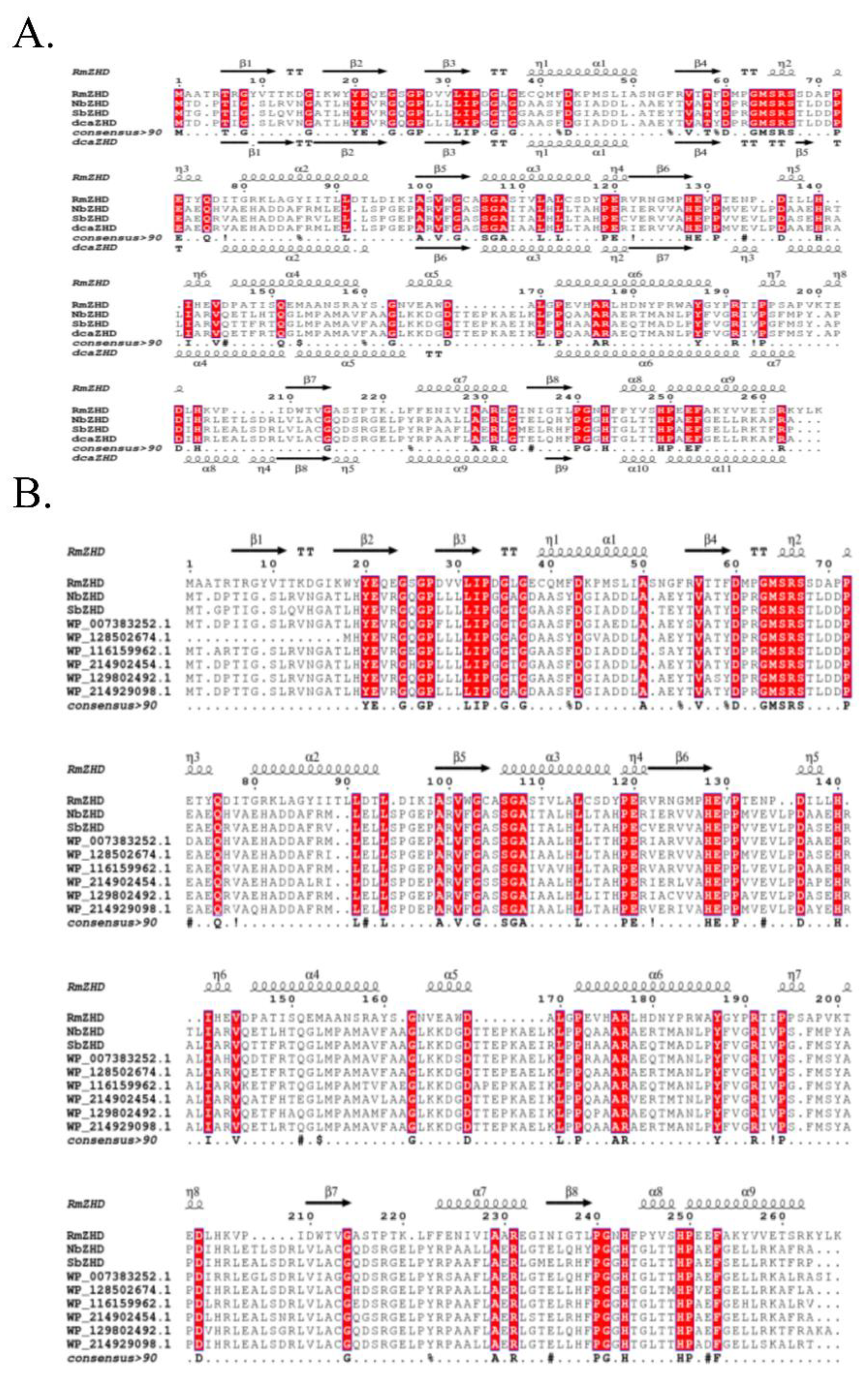 Preprints 73872 g001