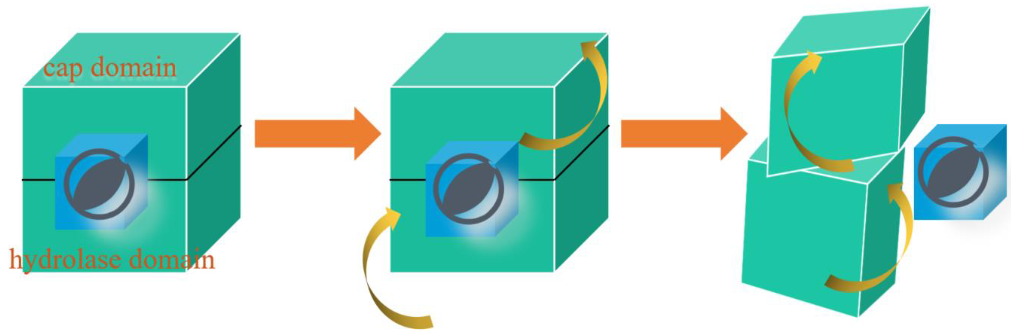 Preprints 73872 g007