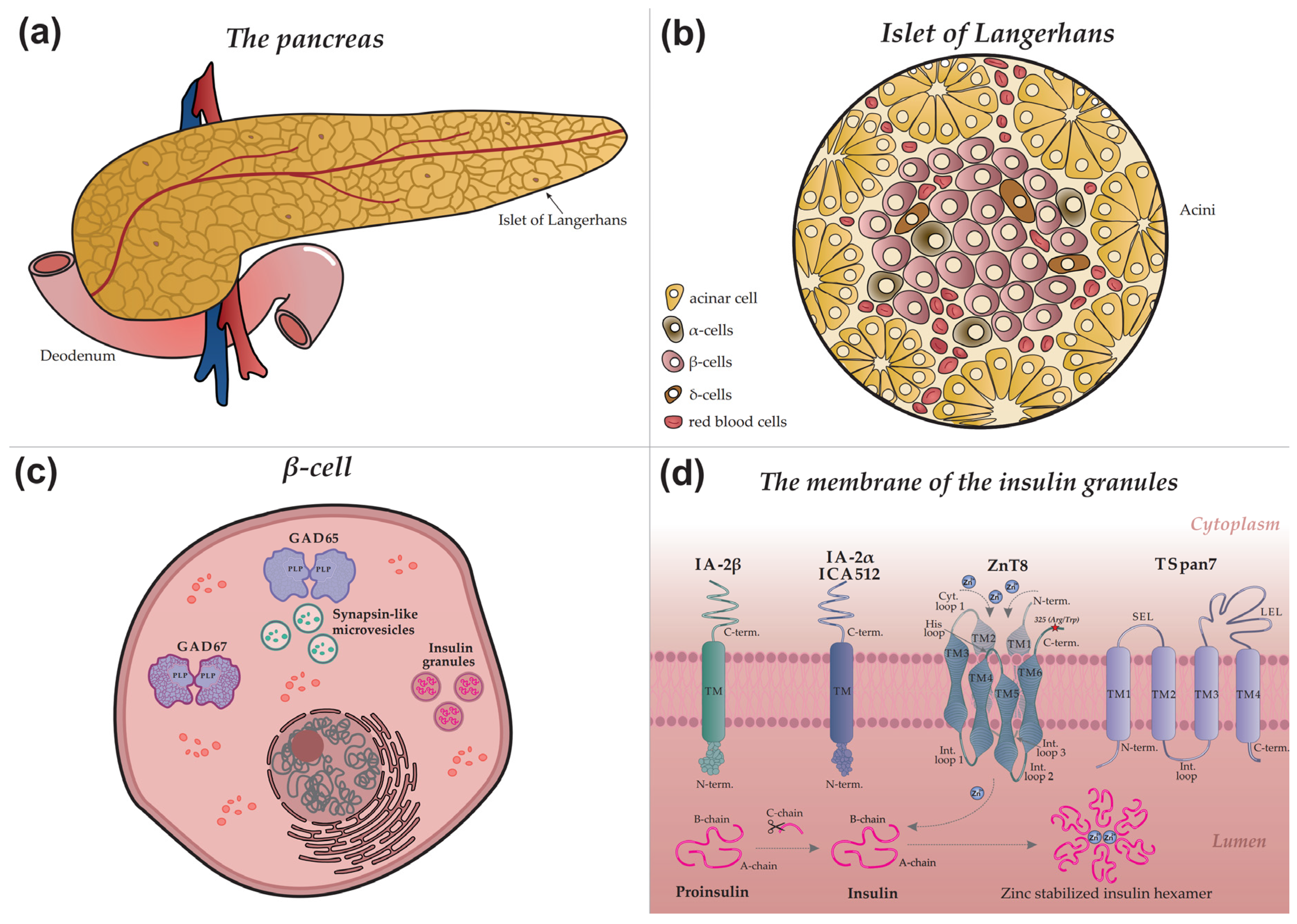 Preprints 184866 g001