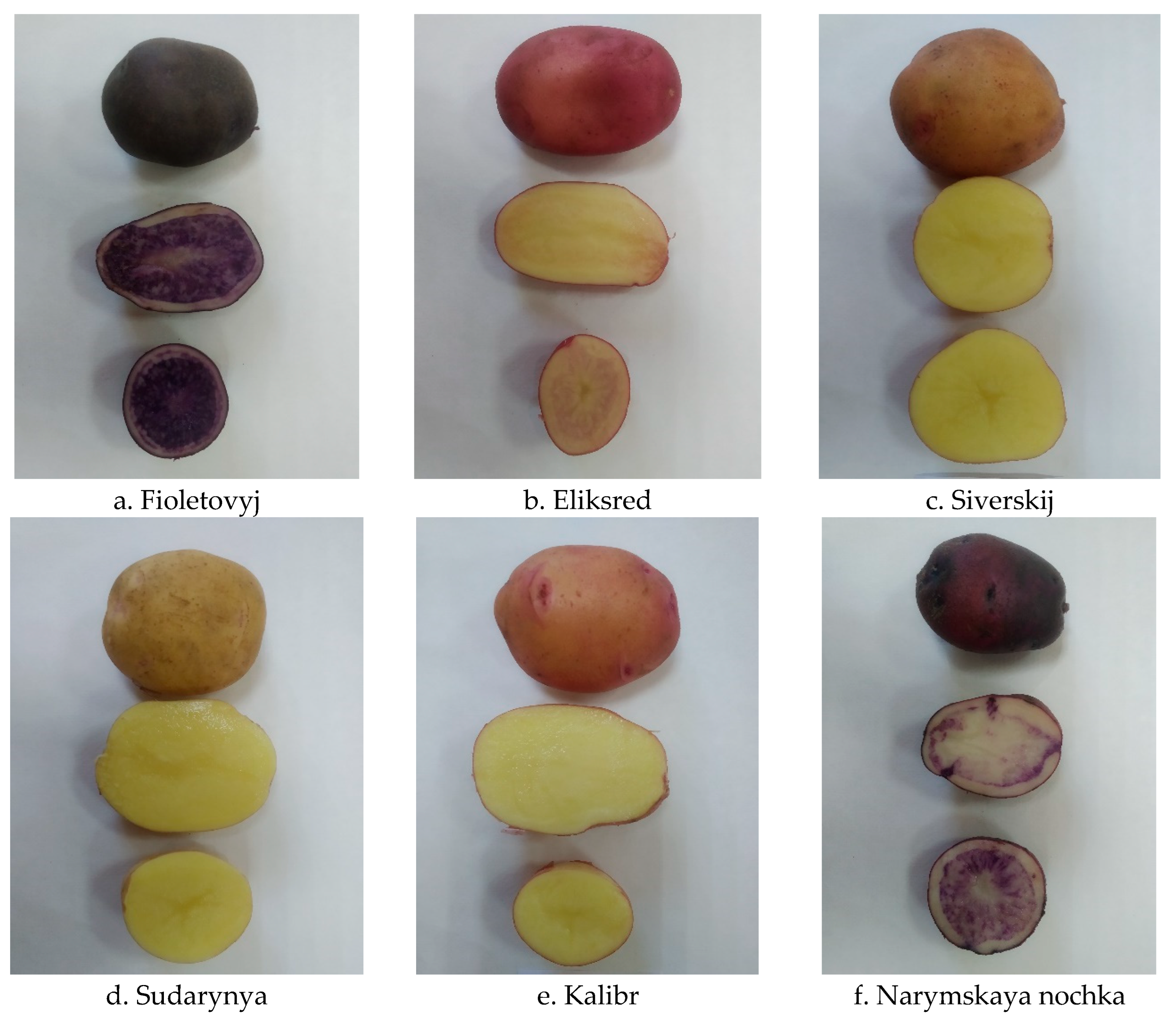 Preprints 101622 g004