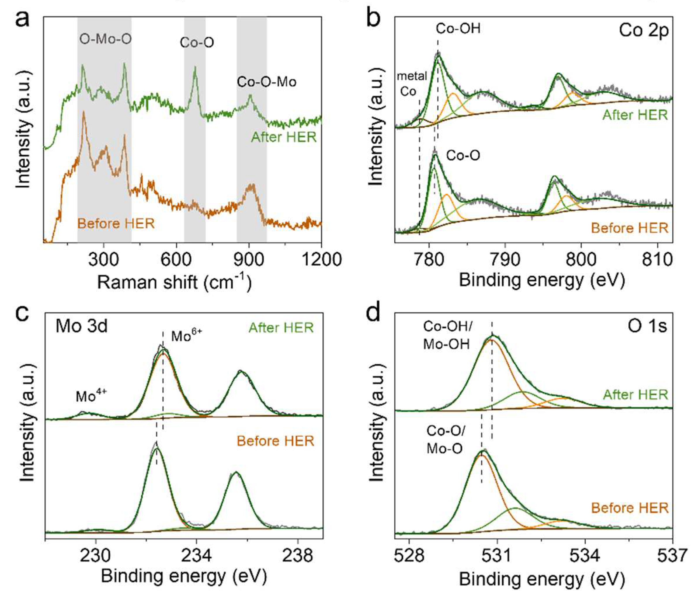 Preprints 81280 g004