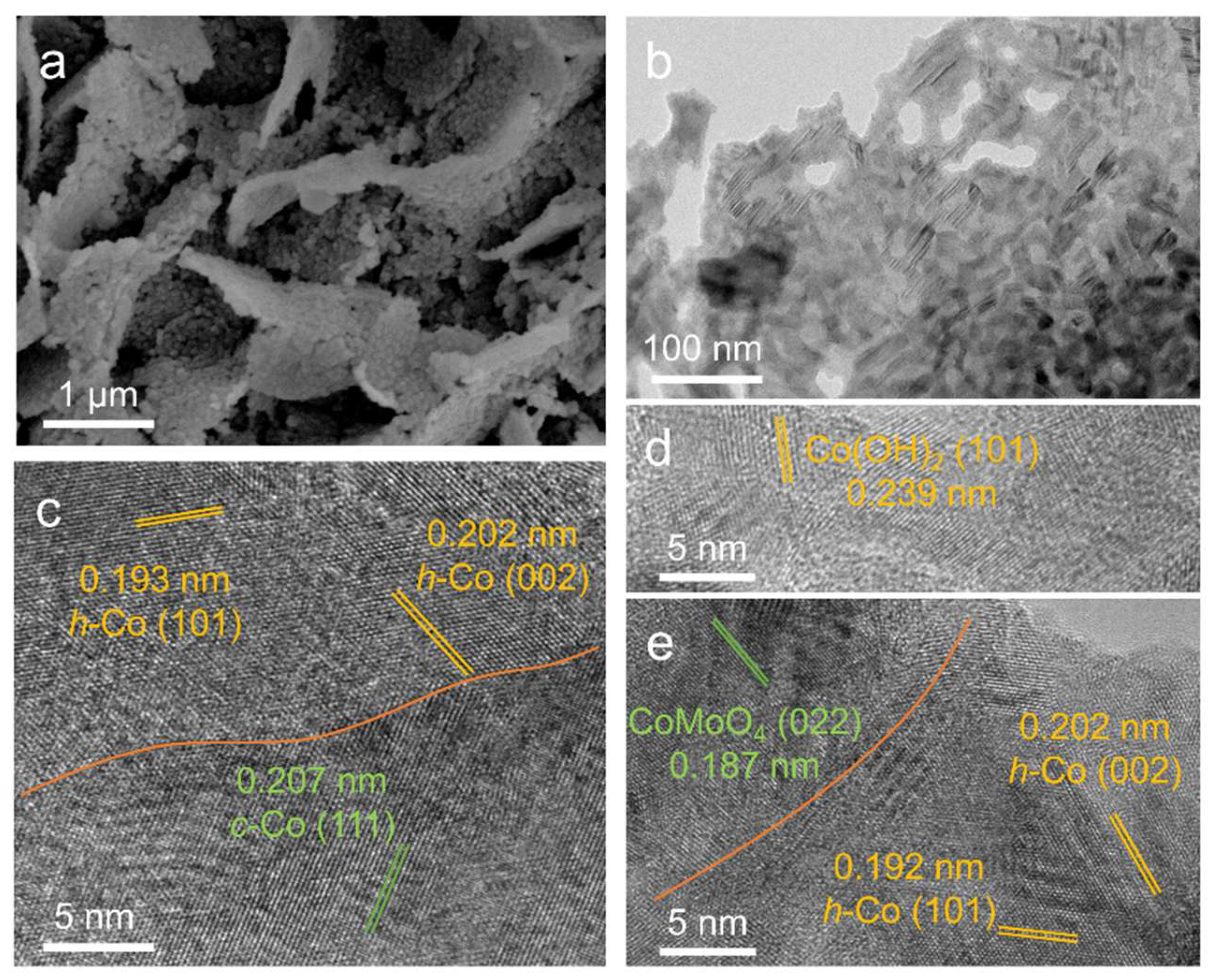 Preprints 81280 g005