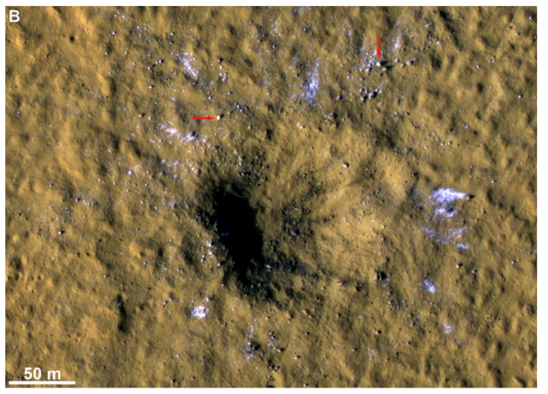 Preprints 177337 g016