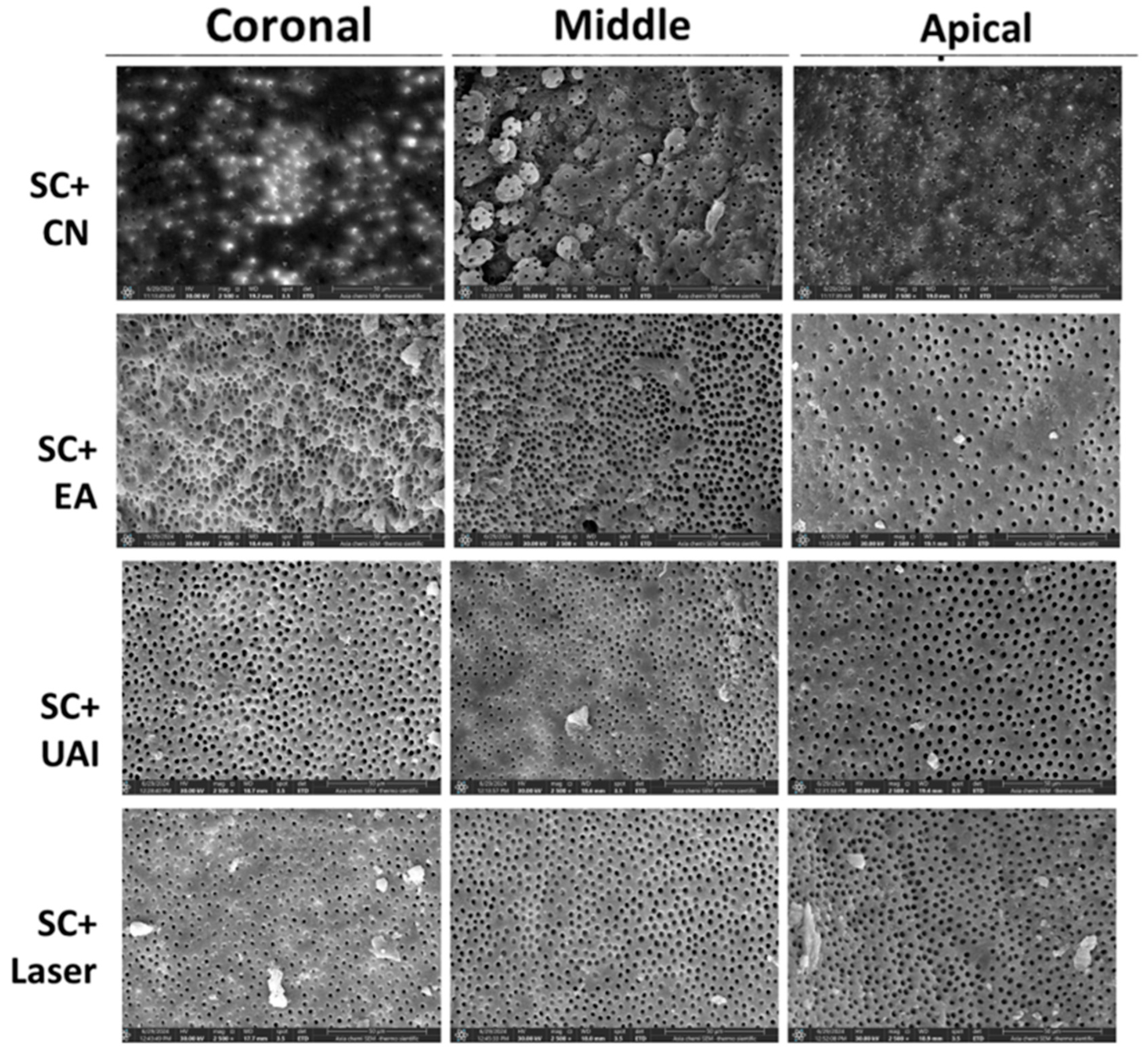 Preprints 157205 g001