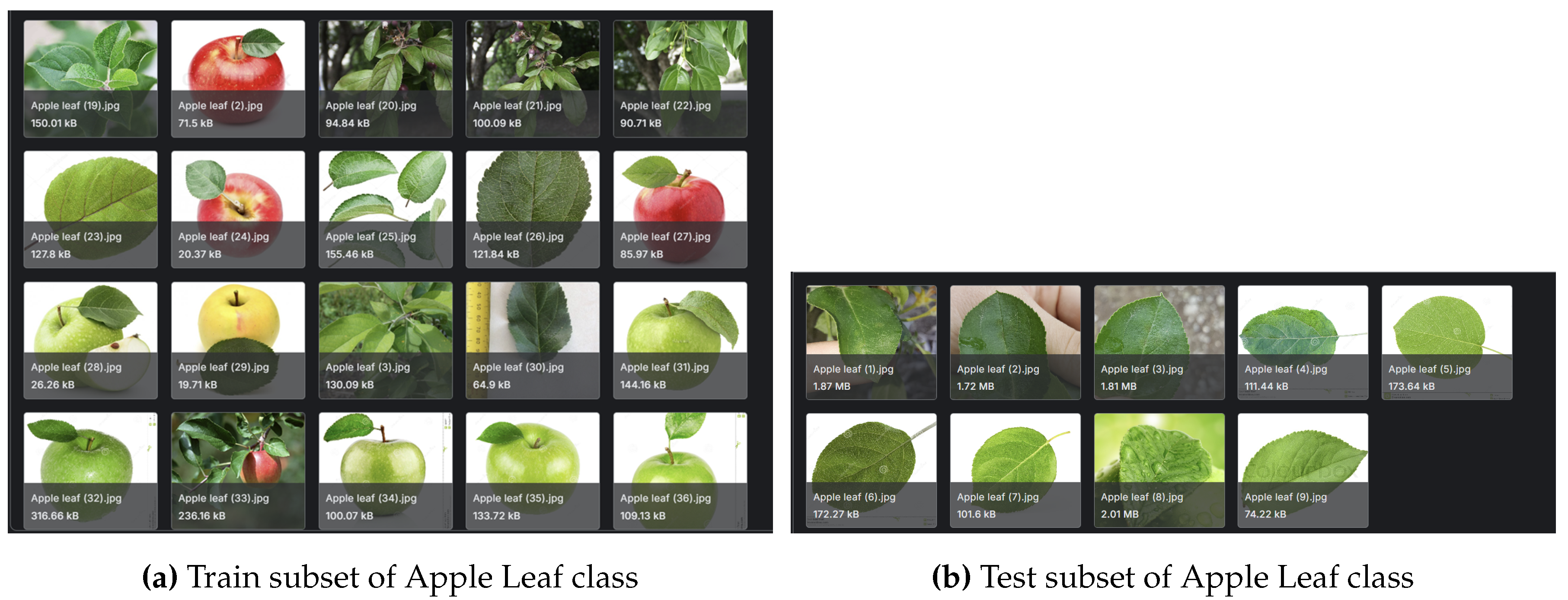 Preprints 138973 g003