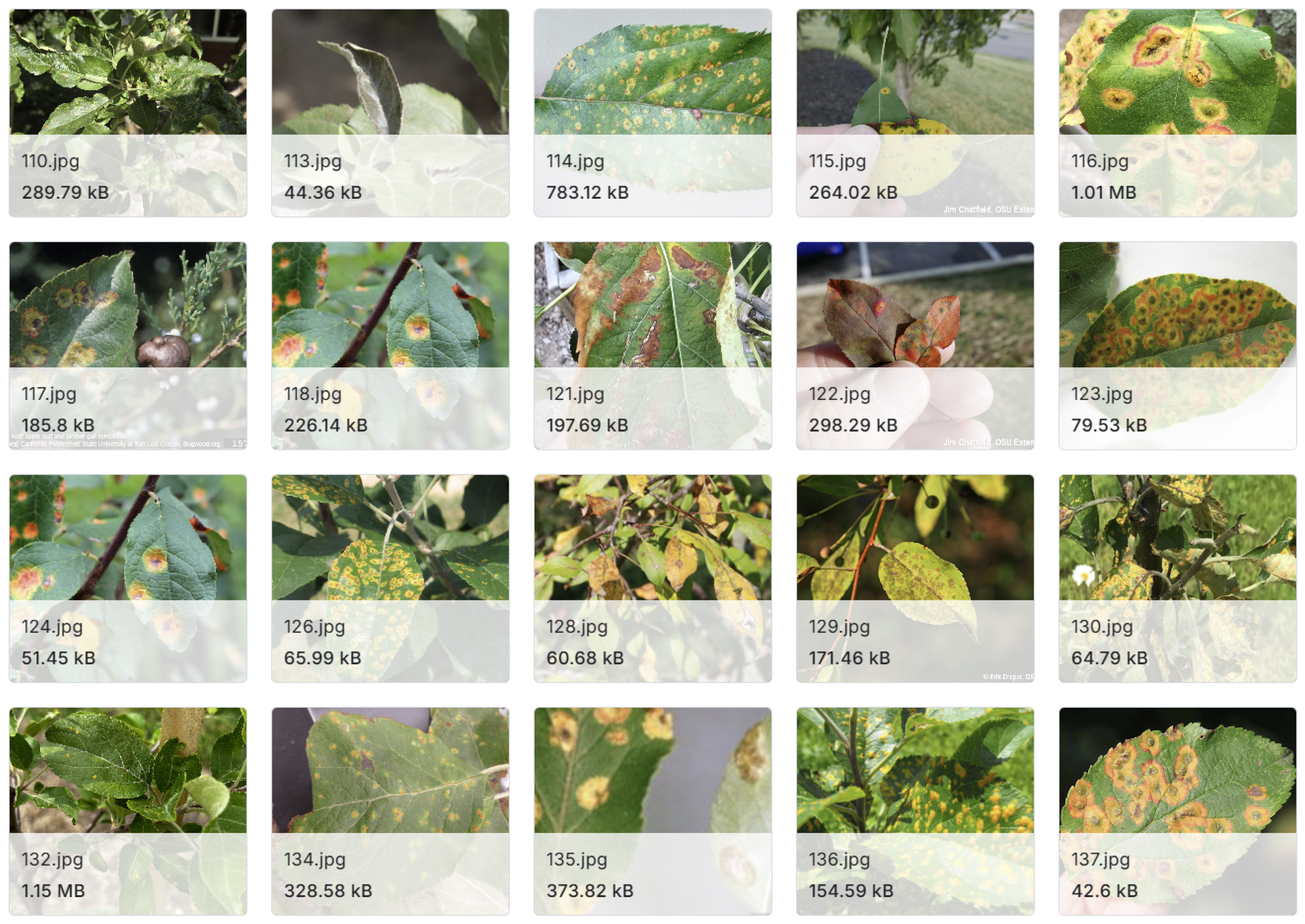 Preprints 138973 g008