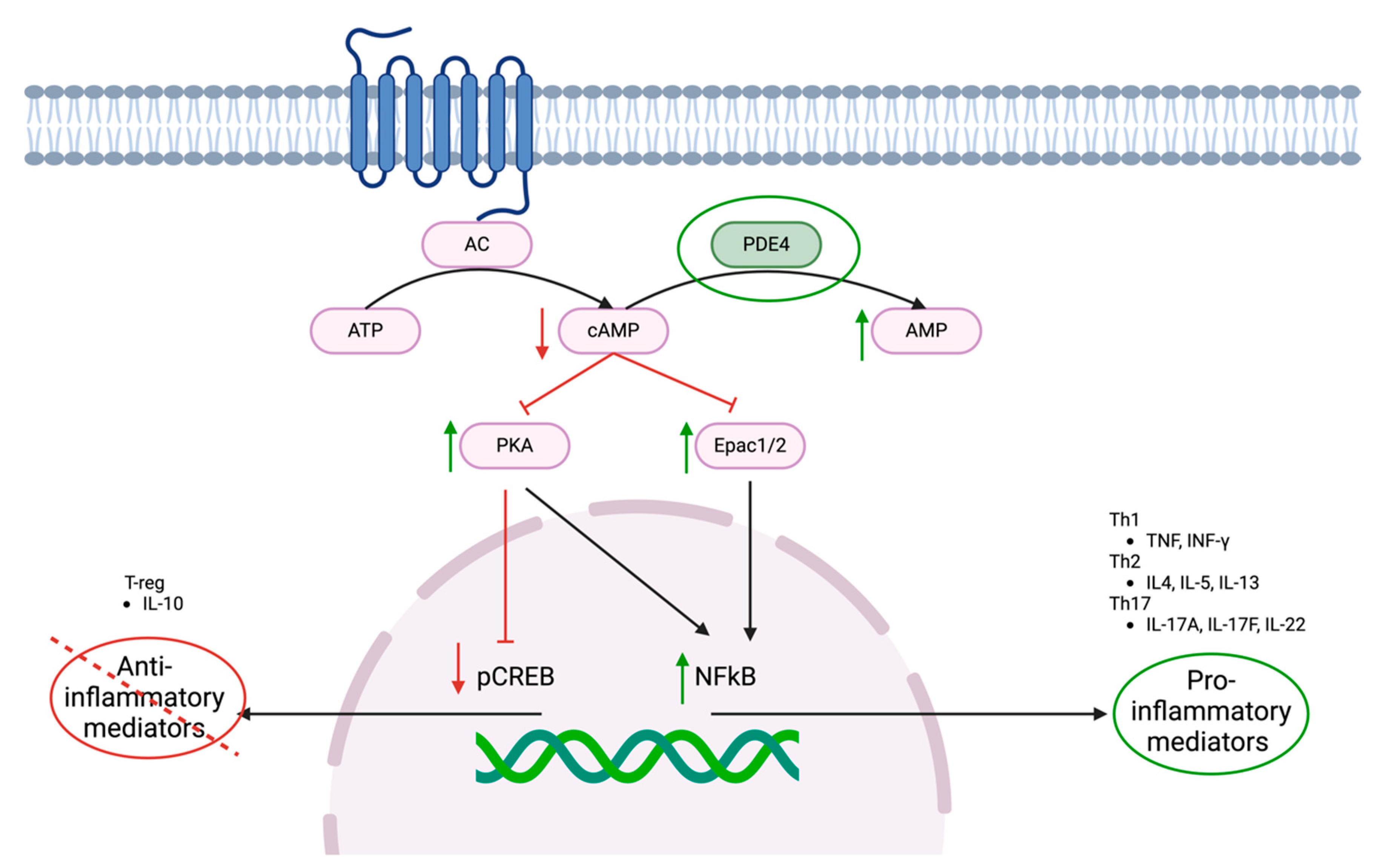 Preprints 143004 g001