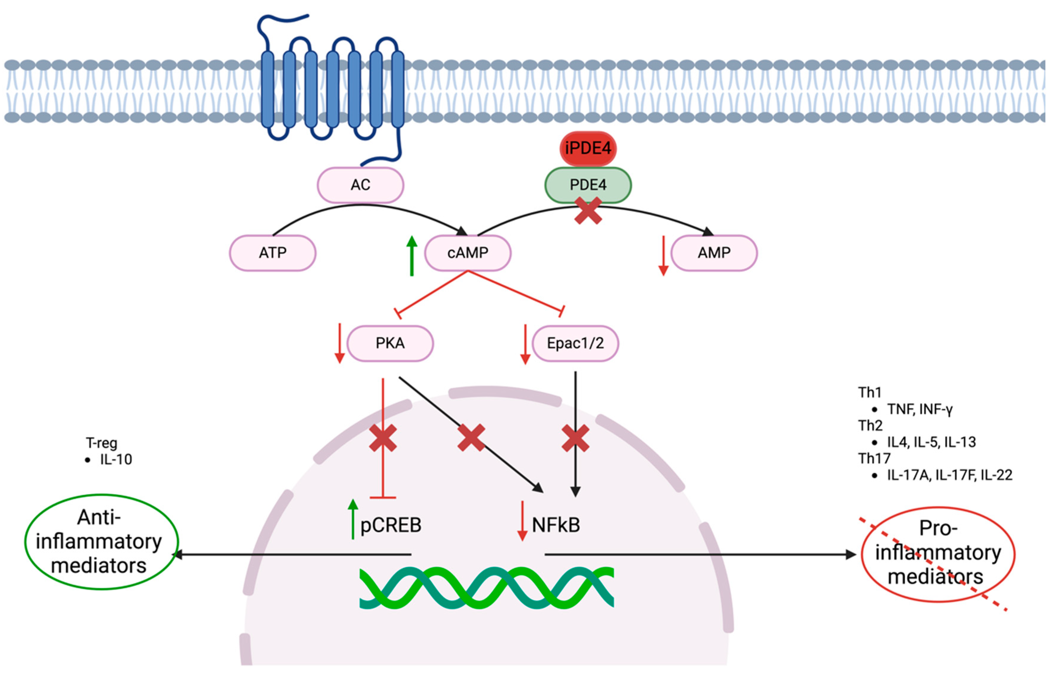 Preprints 143004 g002