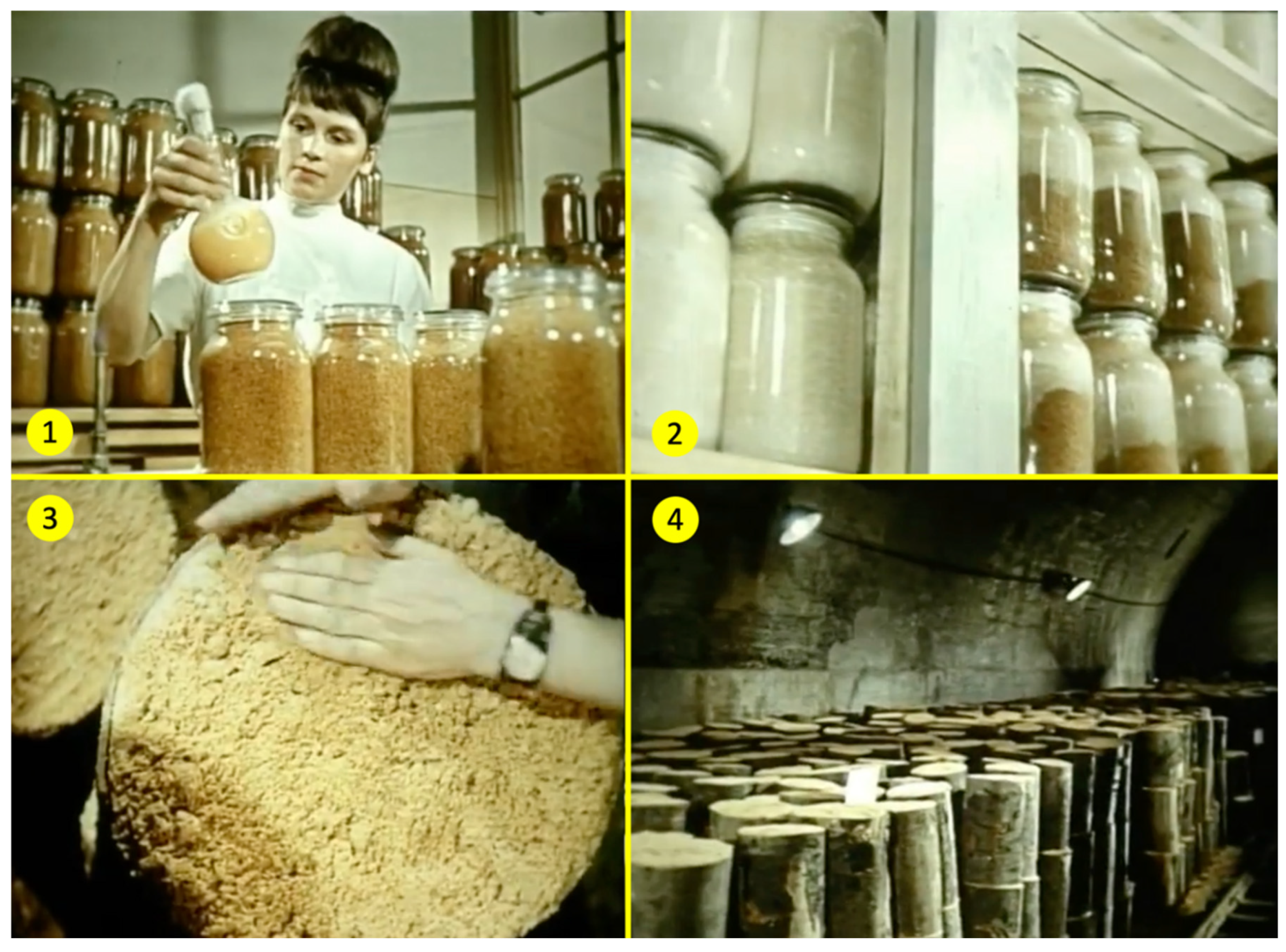 Preprints 184427 g003