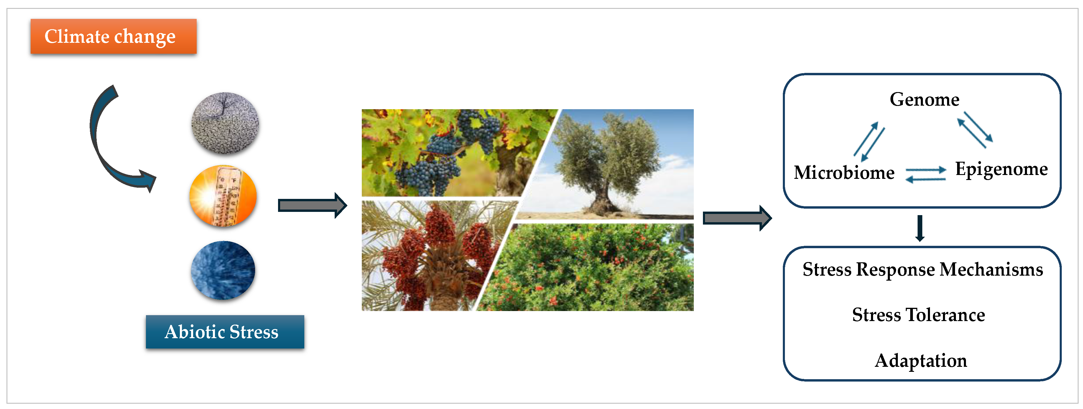 Preprints 148901 g001