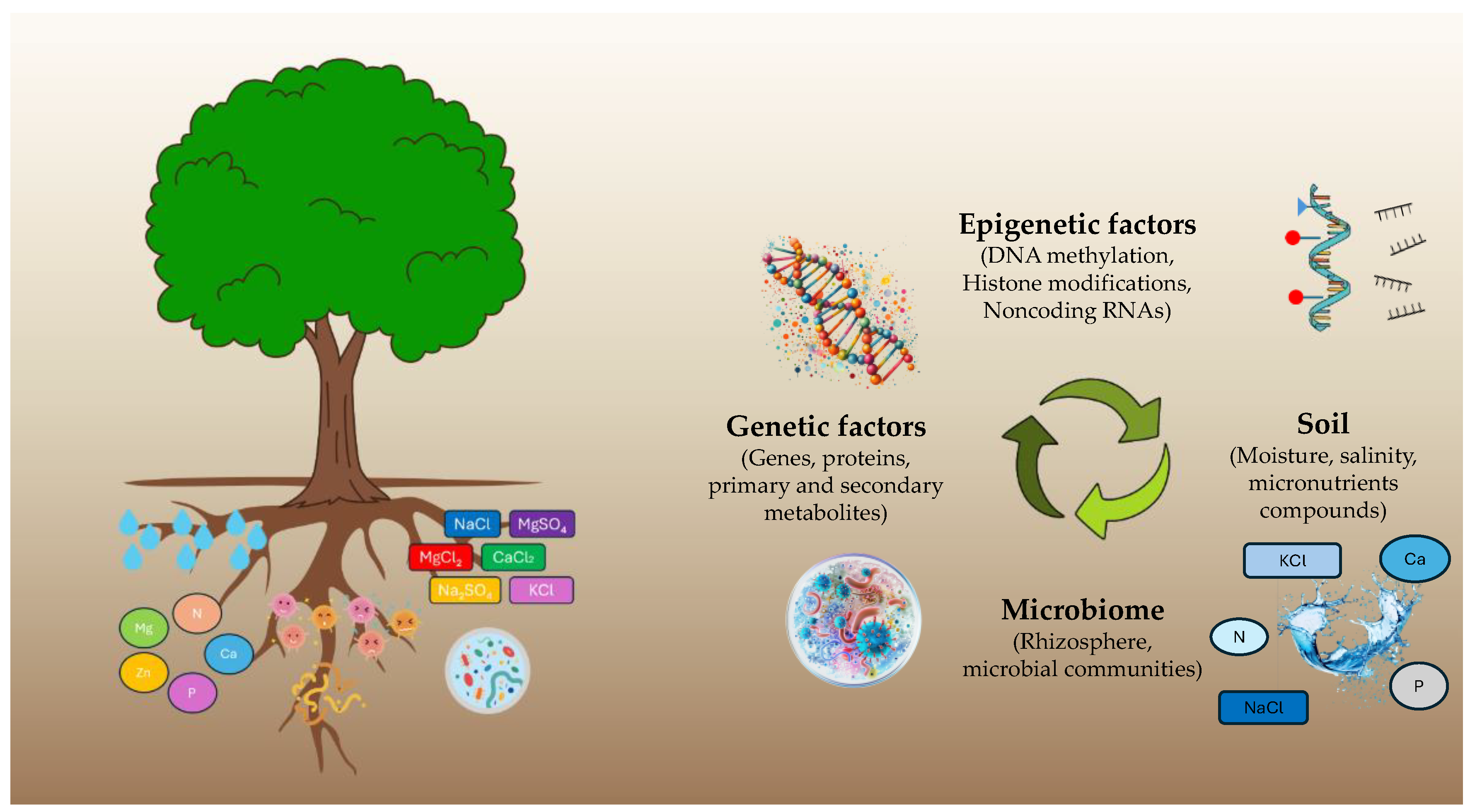 Preprints 148901 g002