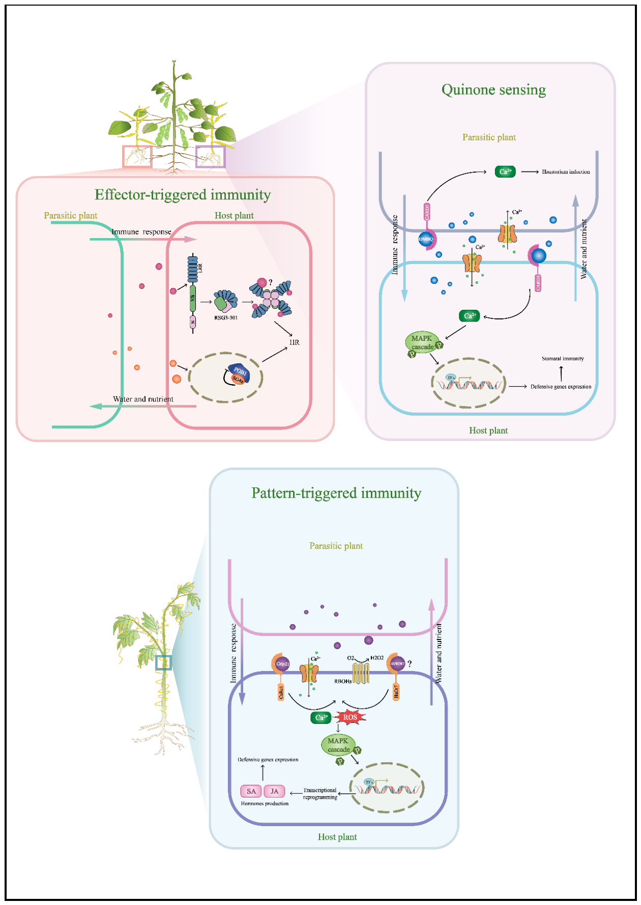 Preprints 214820 g003 Preprints 214820 g003