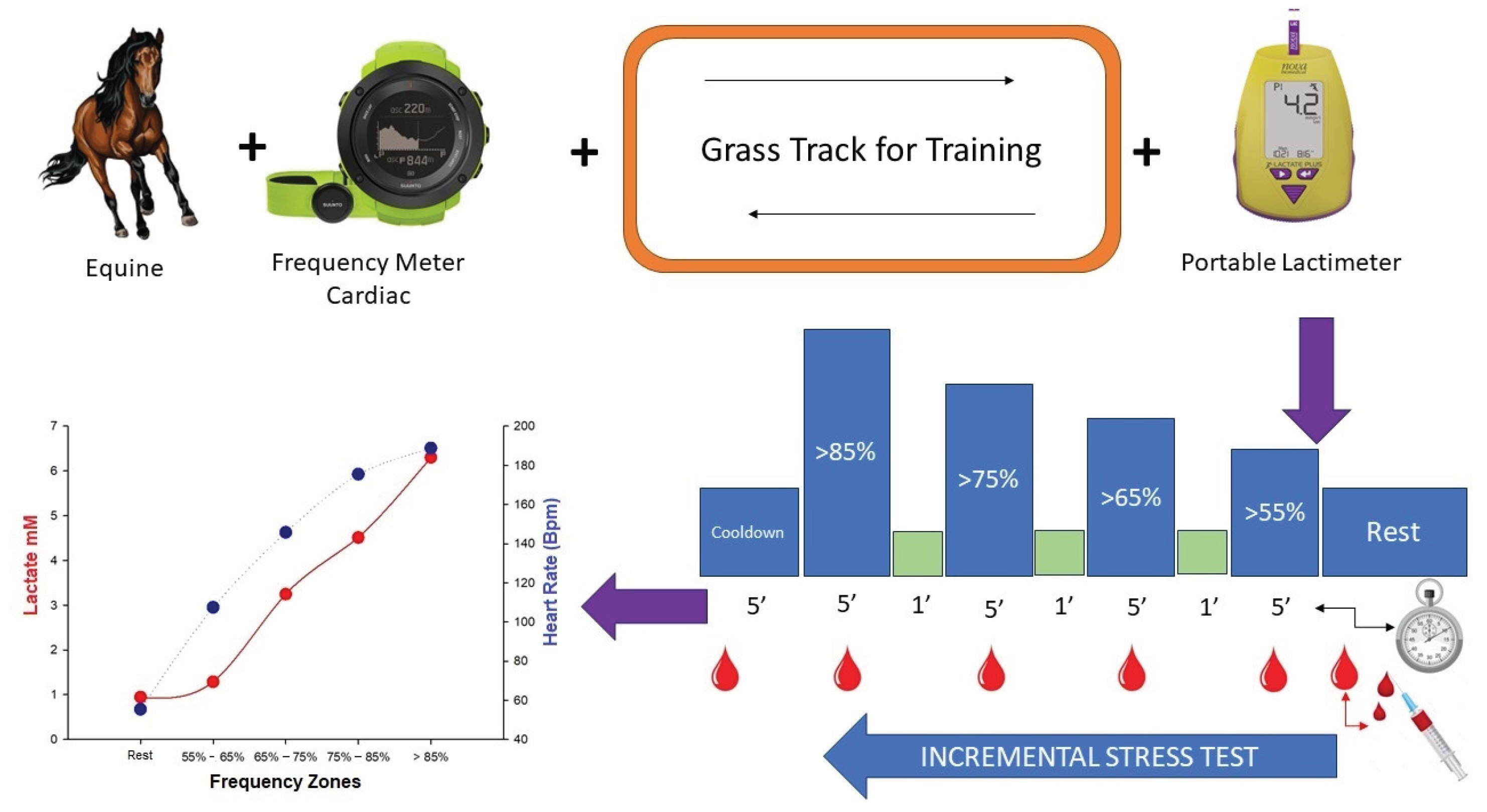 Preprints 179319 g001