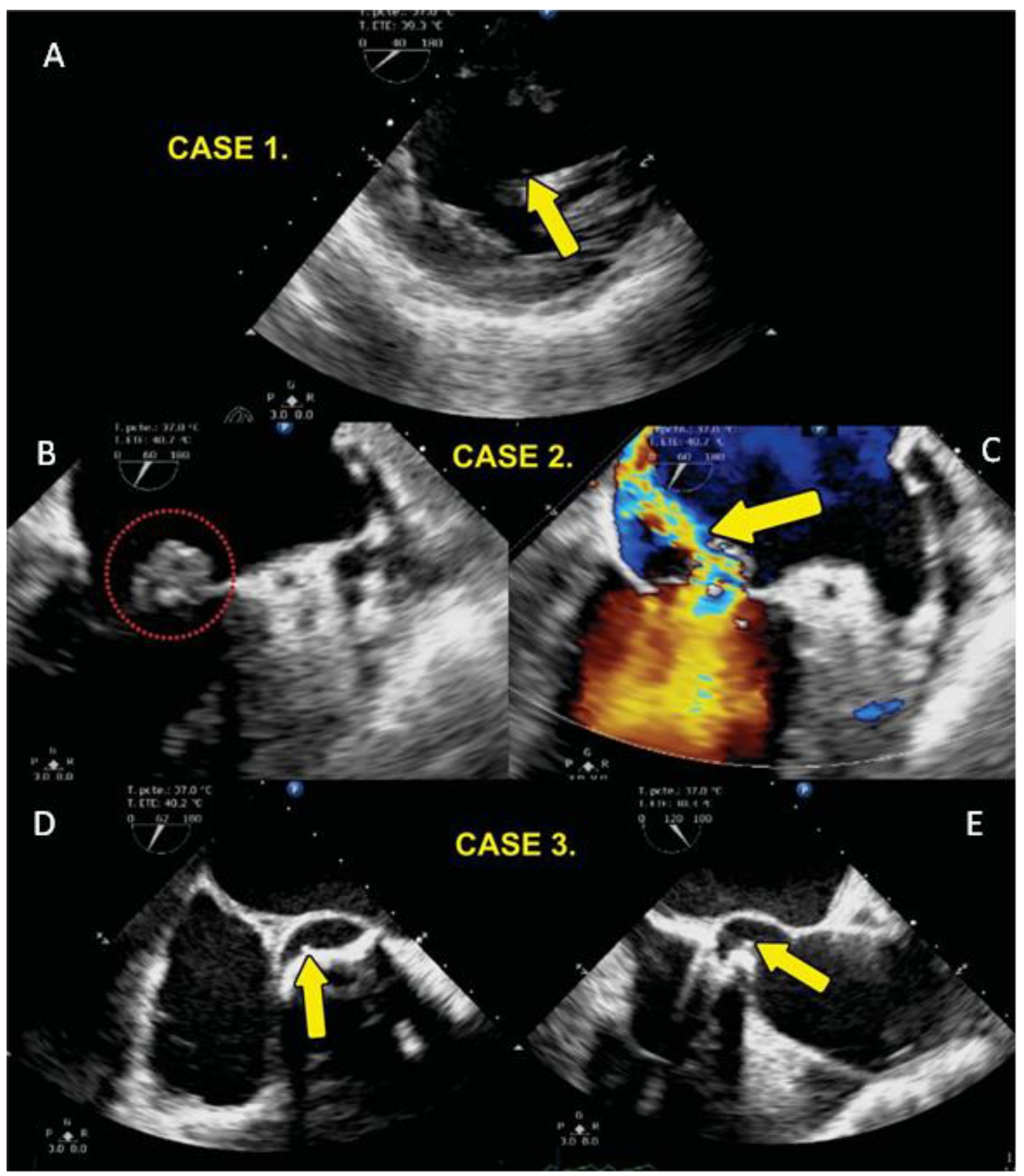 Preprints 112745 g001