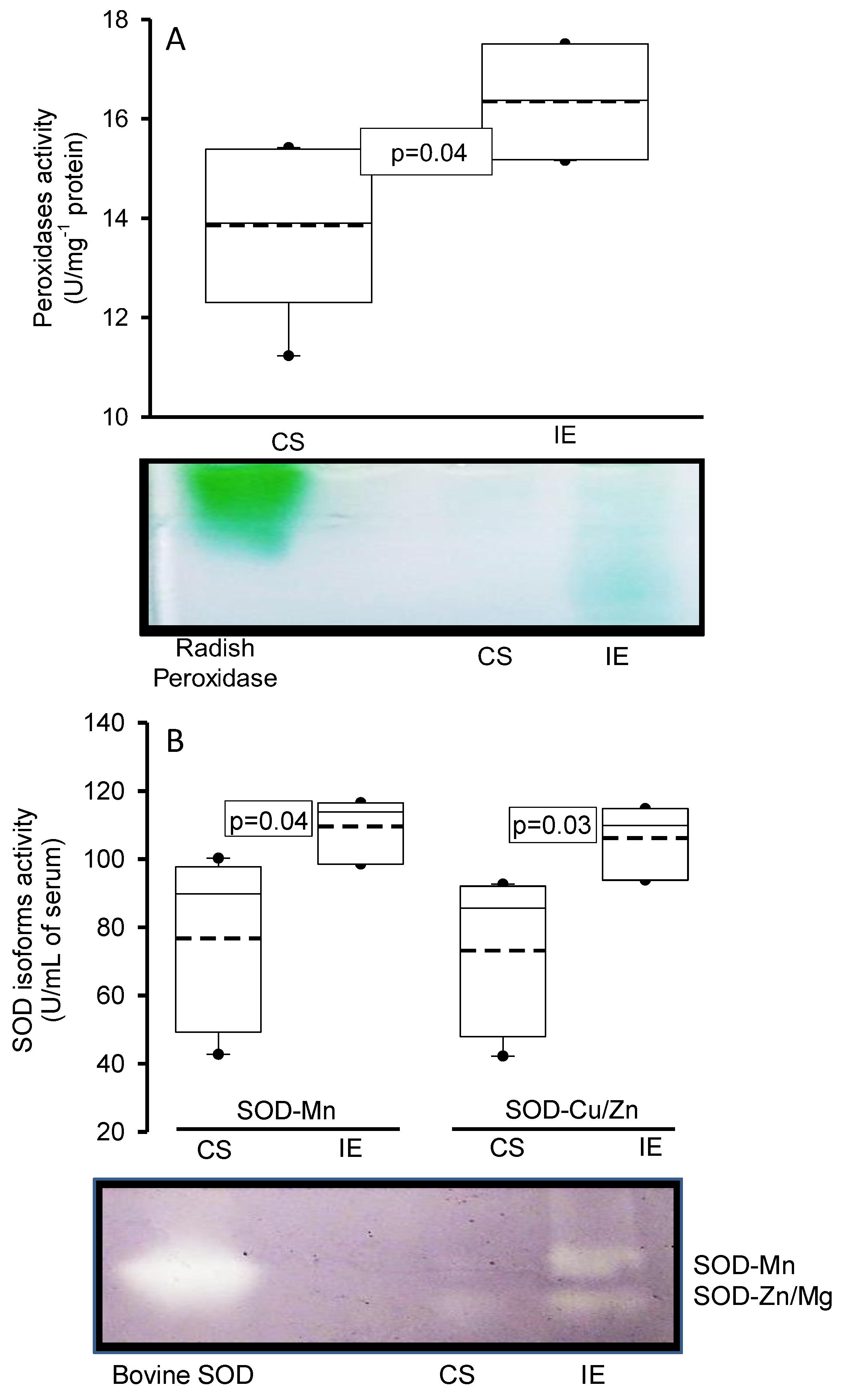 Preprints 112745 g004