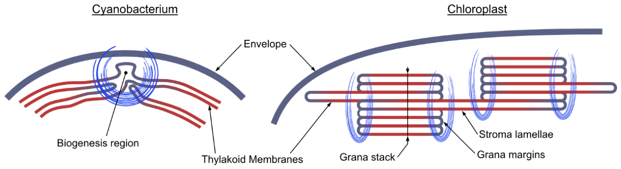 Preprints 222382 g001 Preprints 222382 g001