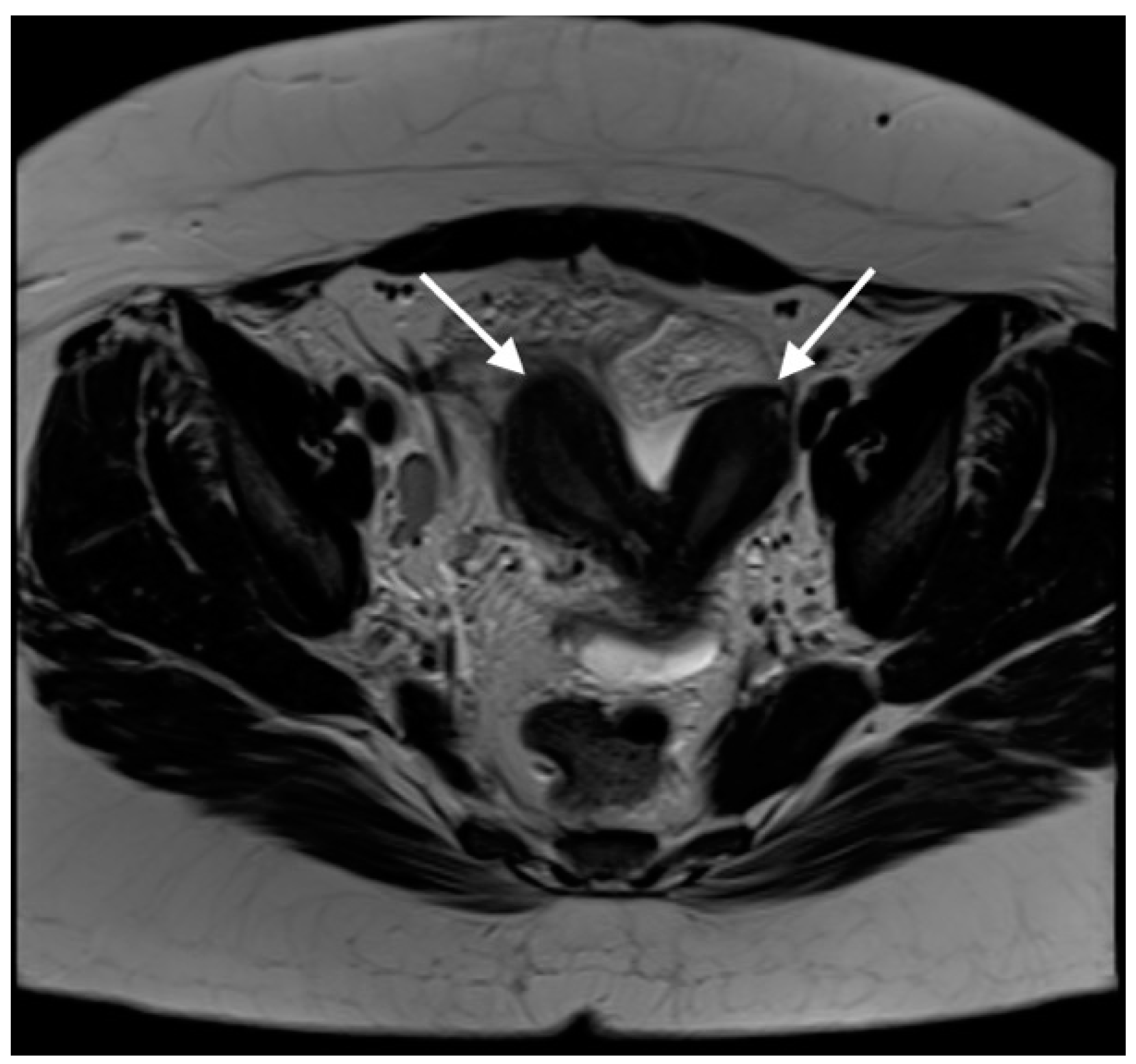 Preprints 81361 g001
