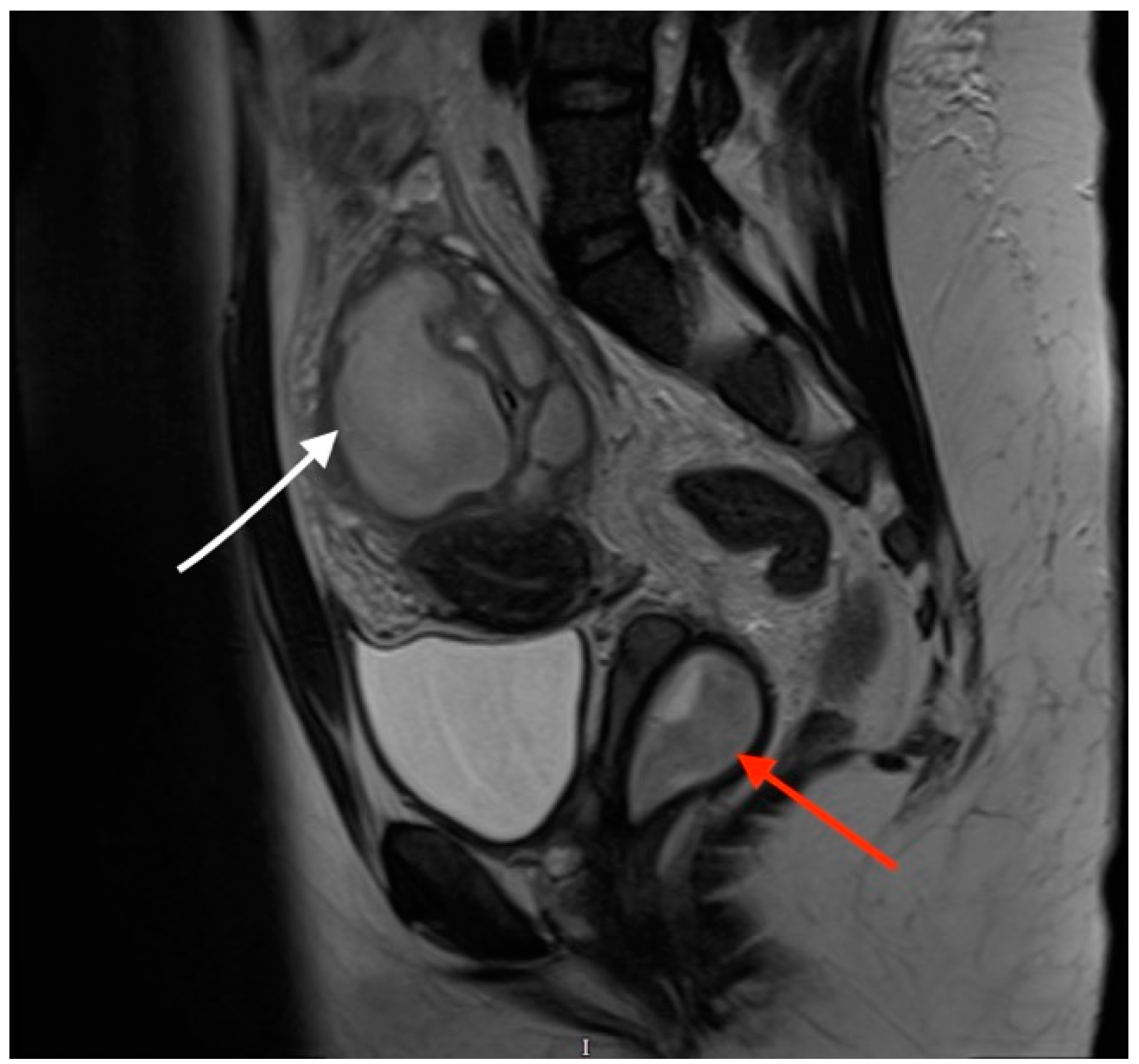 Preprints 81361 g002