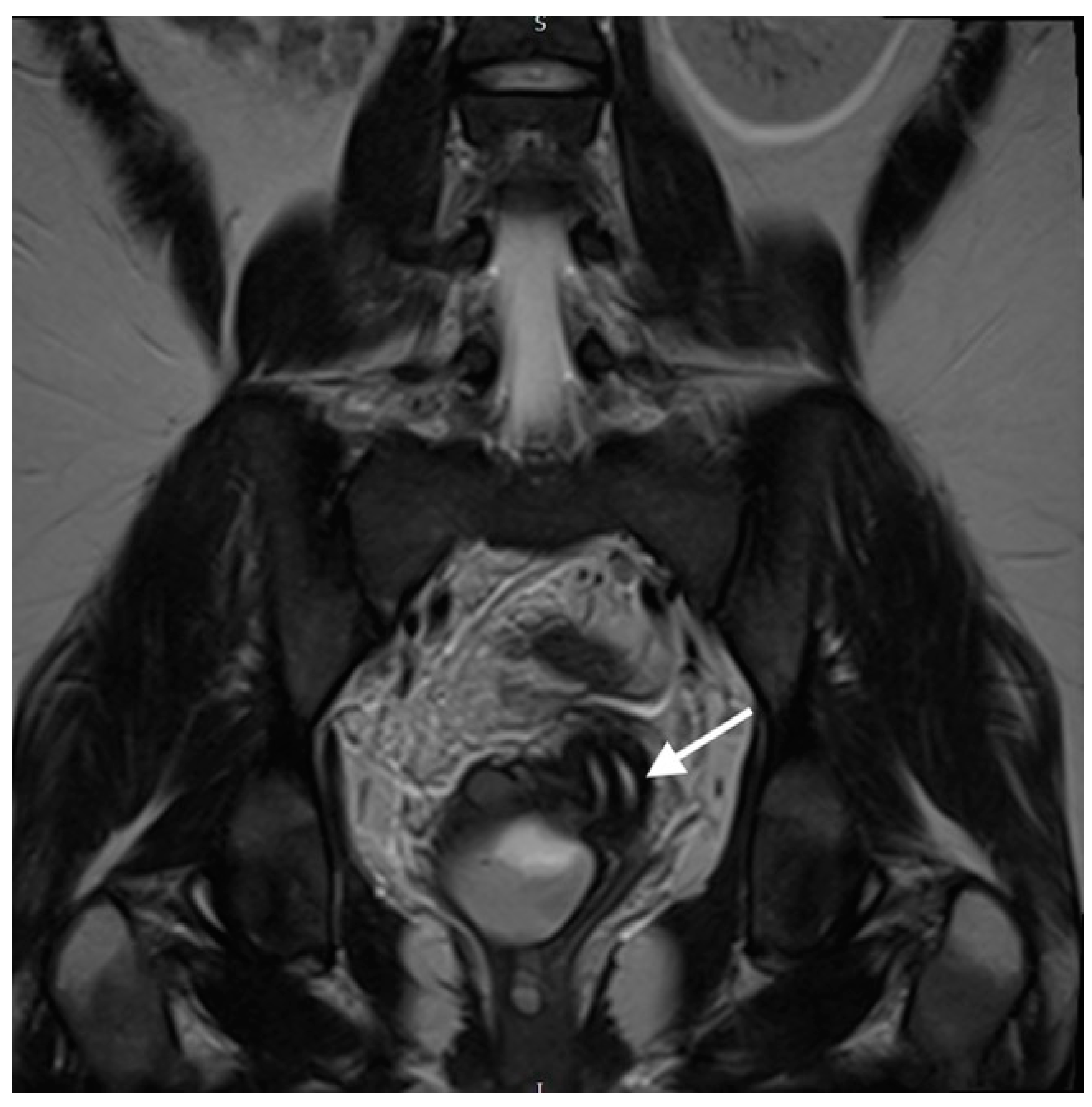 Preprints 81361 g003