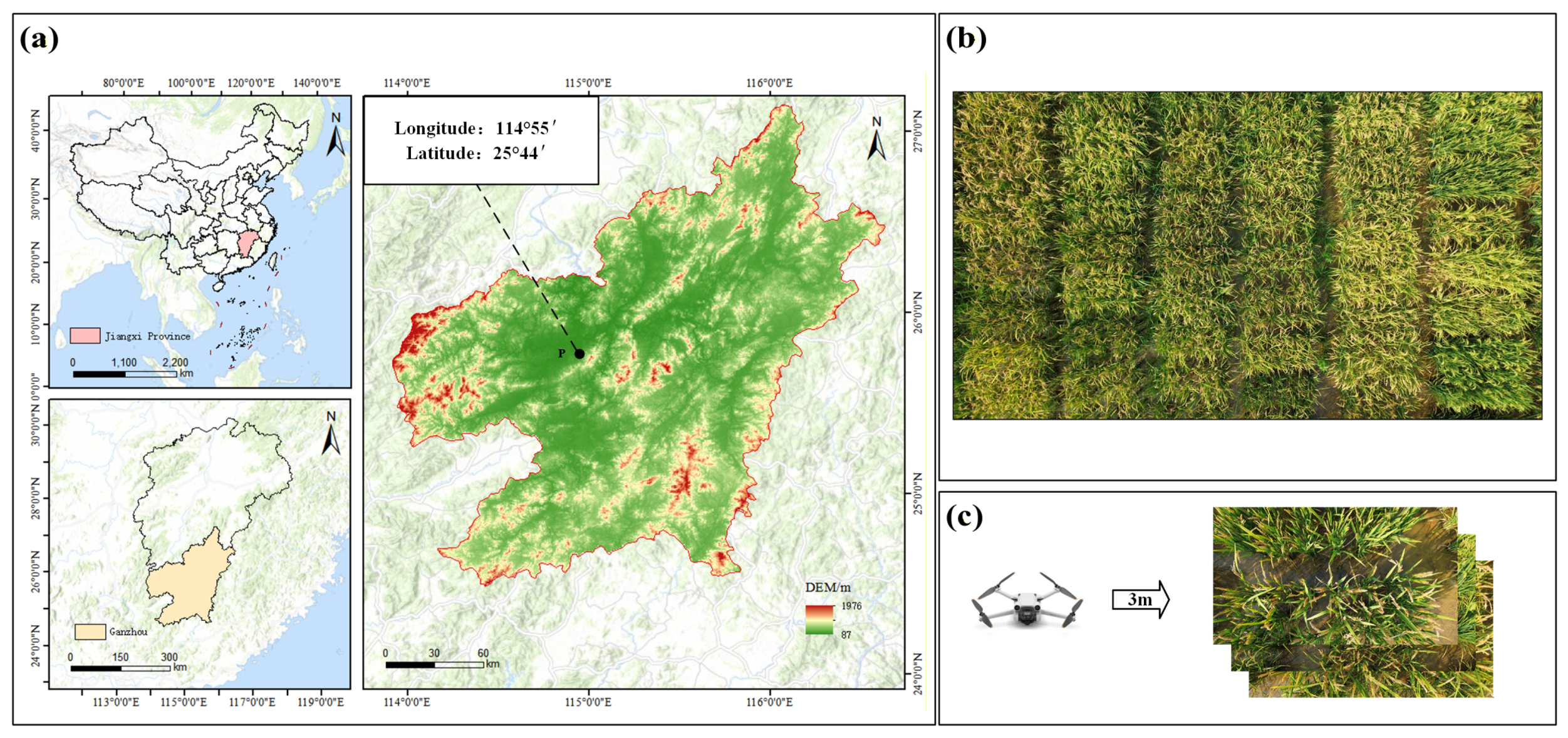 Preprints 208627 g001