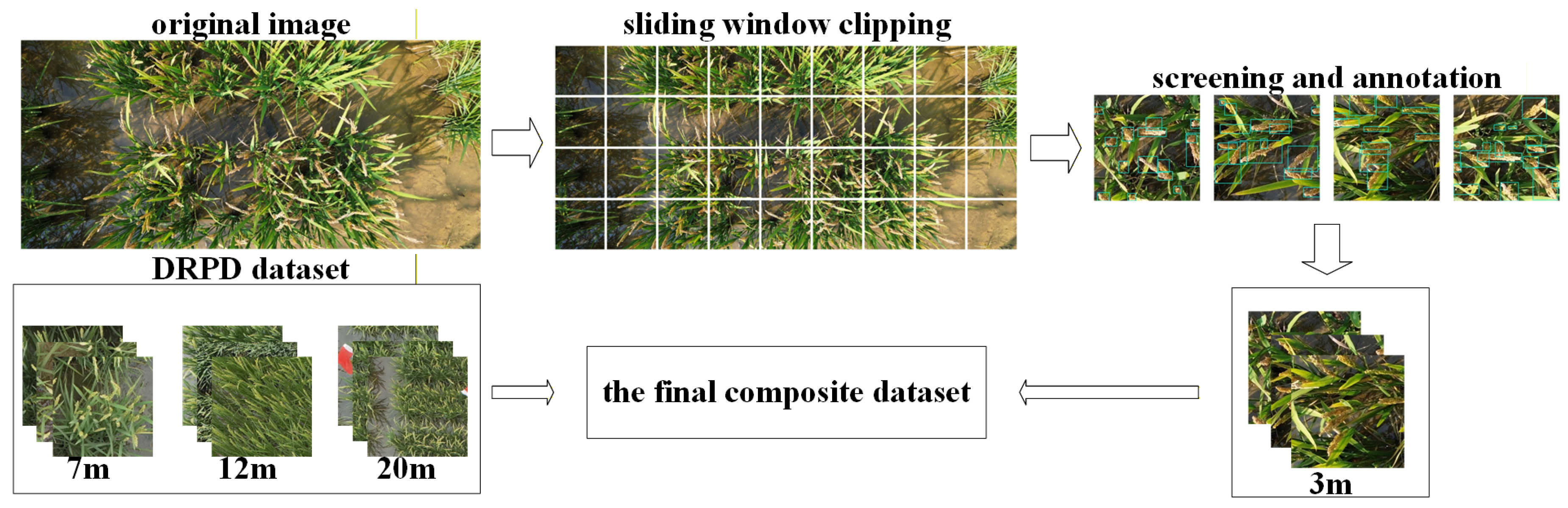 Preprints 208627 g002