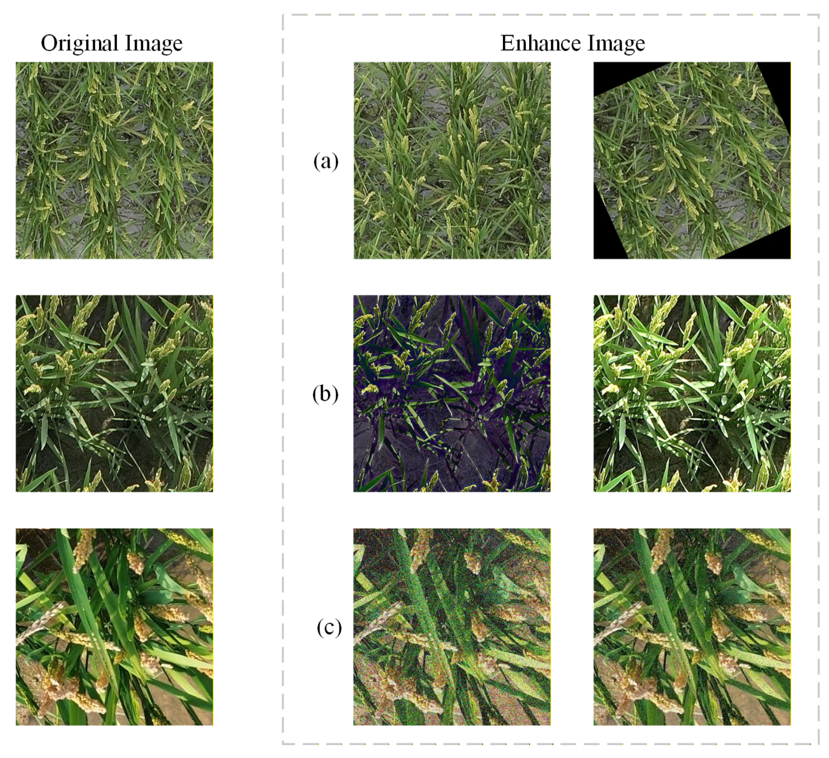 Preprints 208627 g003