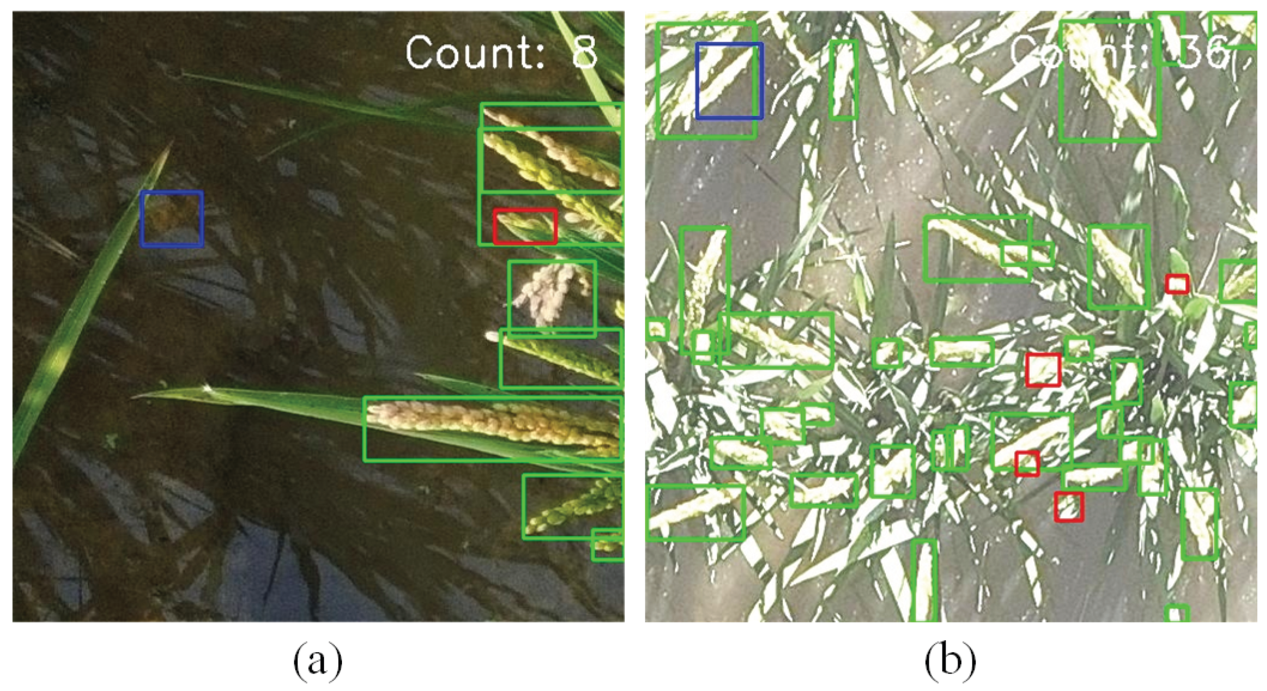 Preprints 208627 g010