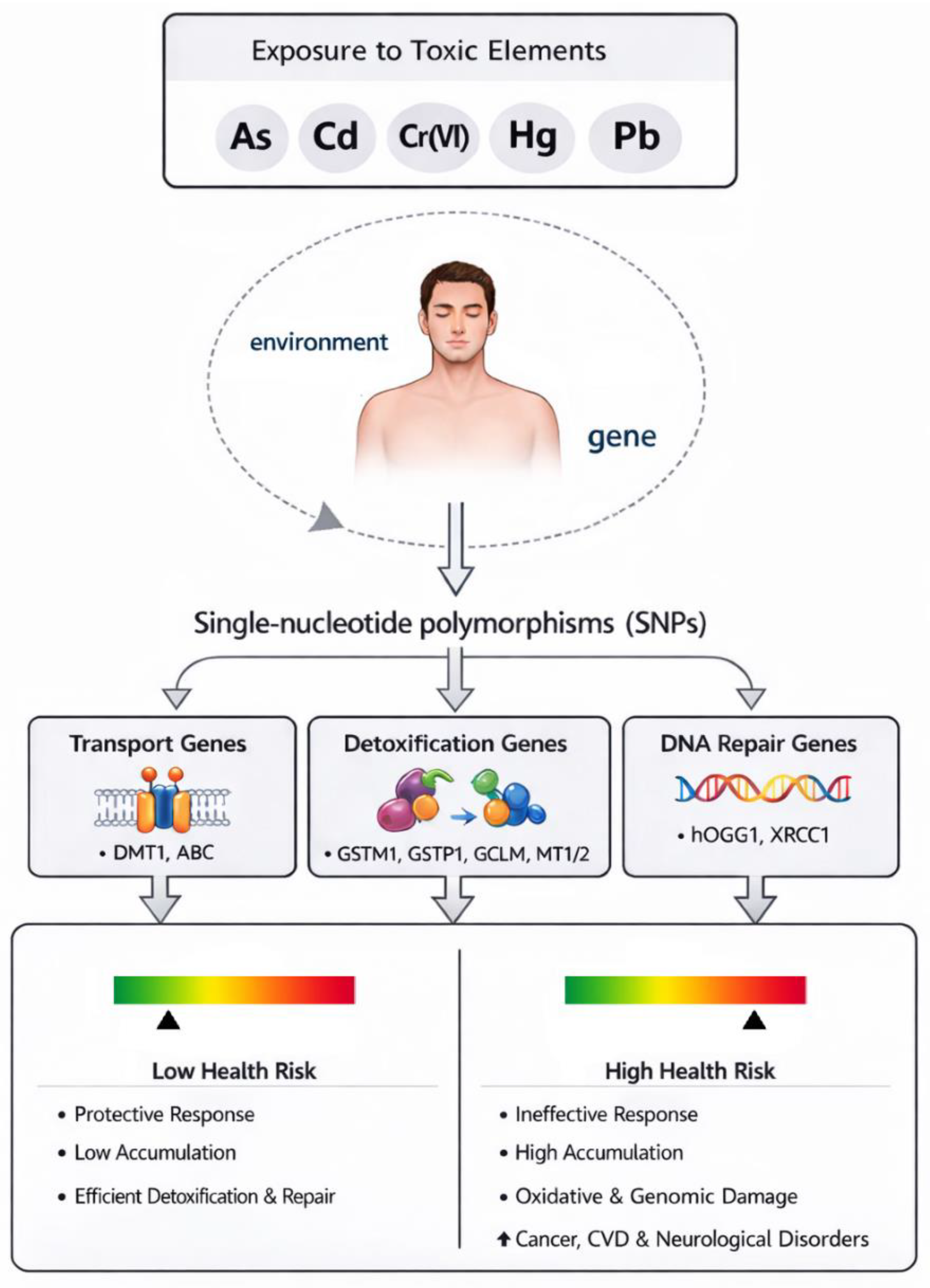 Preprints 204238 g001