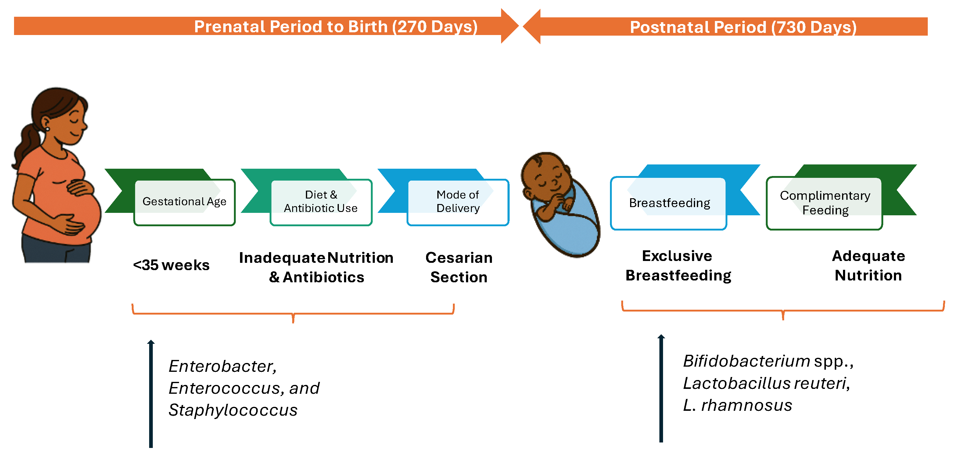 Preprints 187715 g001