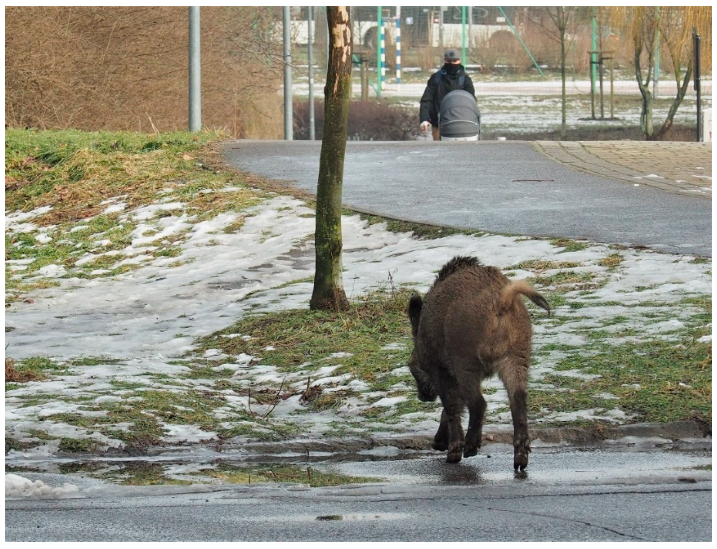 Preprints 148888 g001