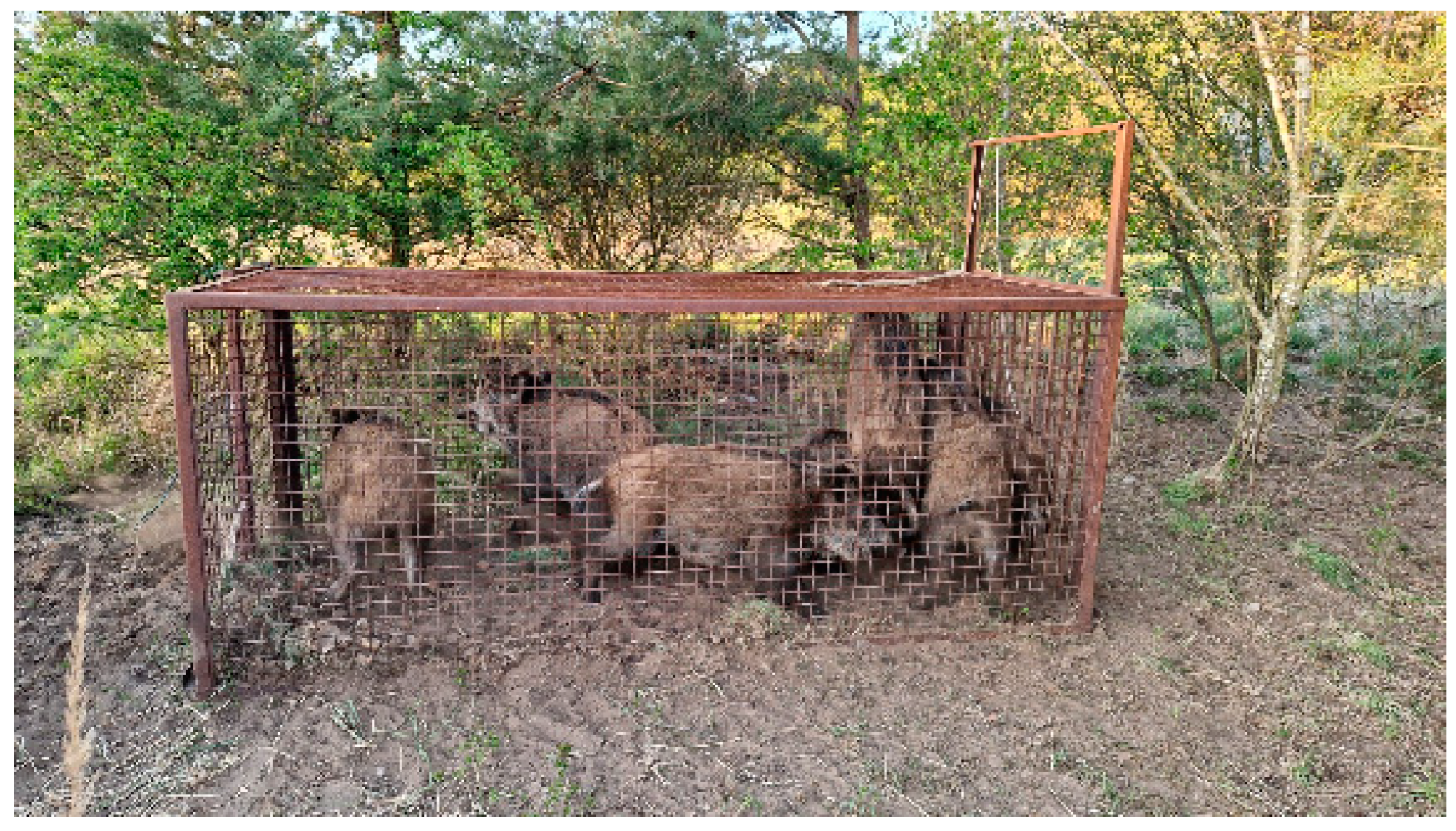 Preprints 148888 g003