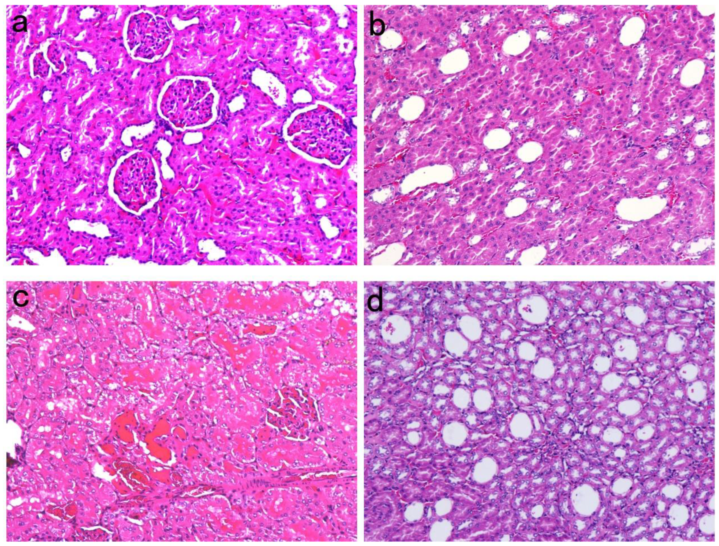 Preprints 99564 g001