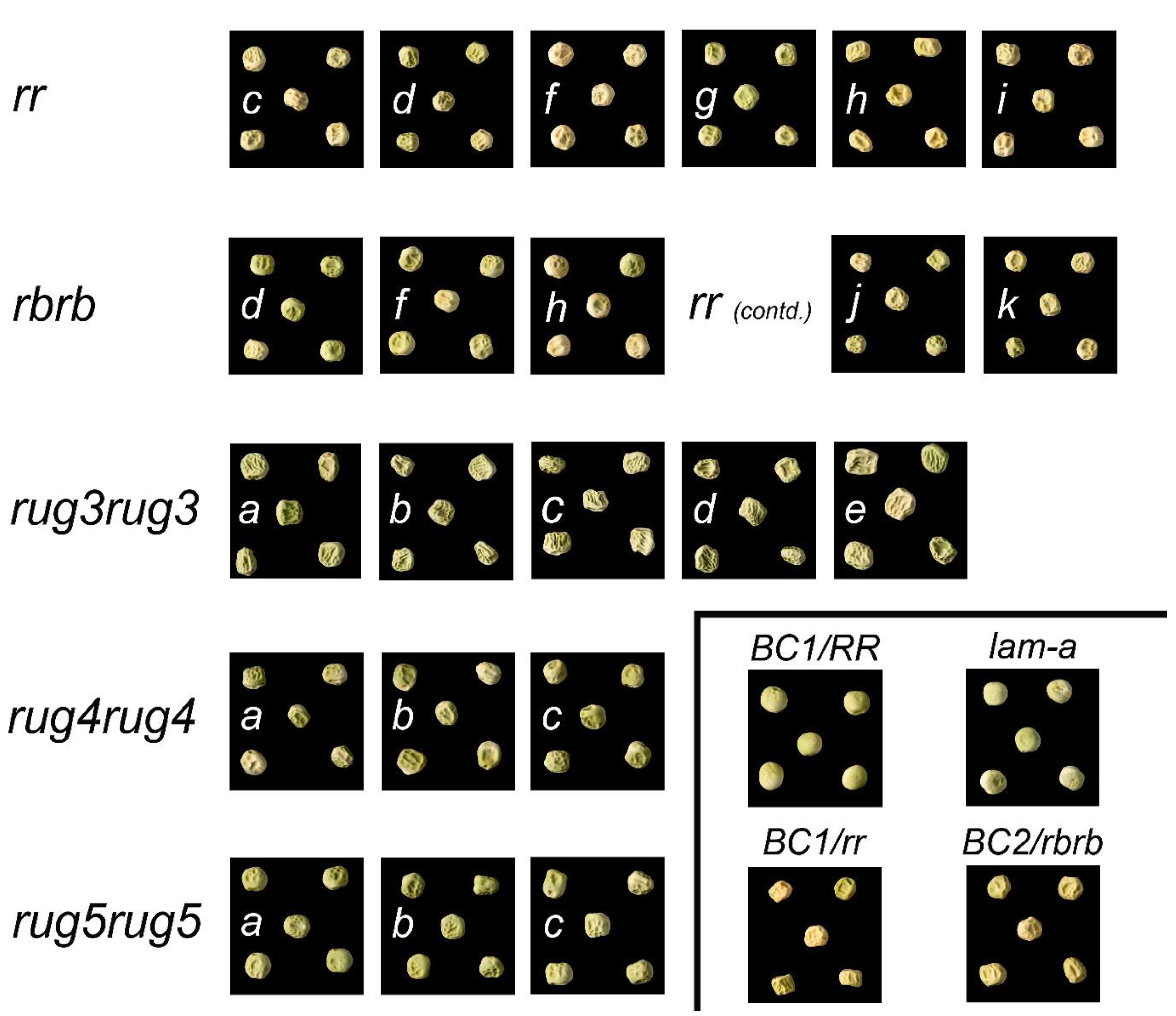 Preprints 143527 g001