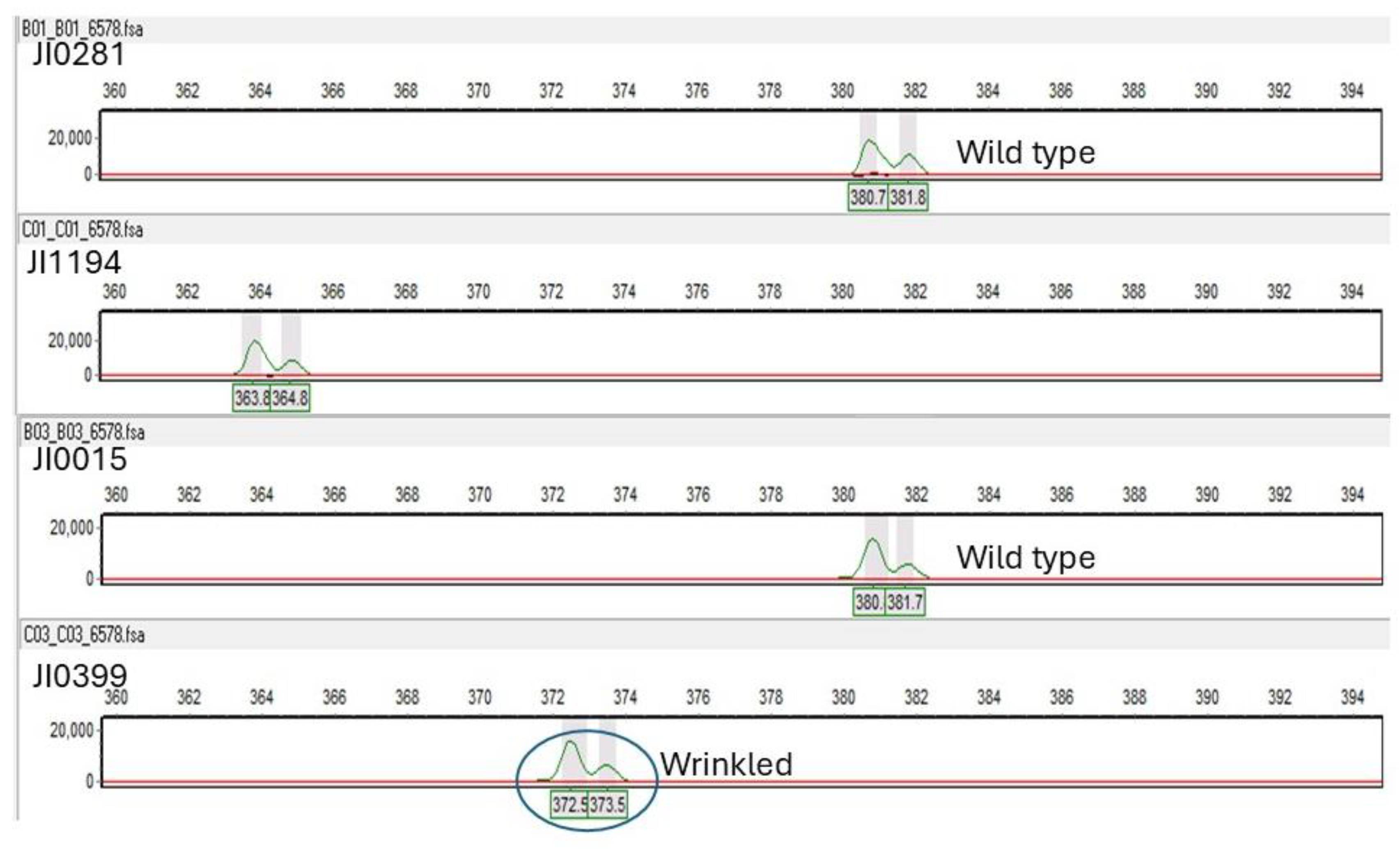 Preprints 143527 g002