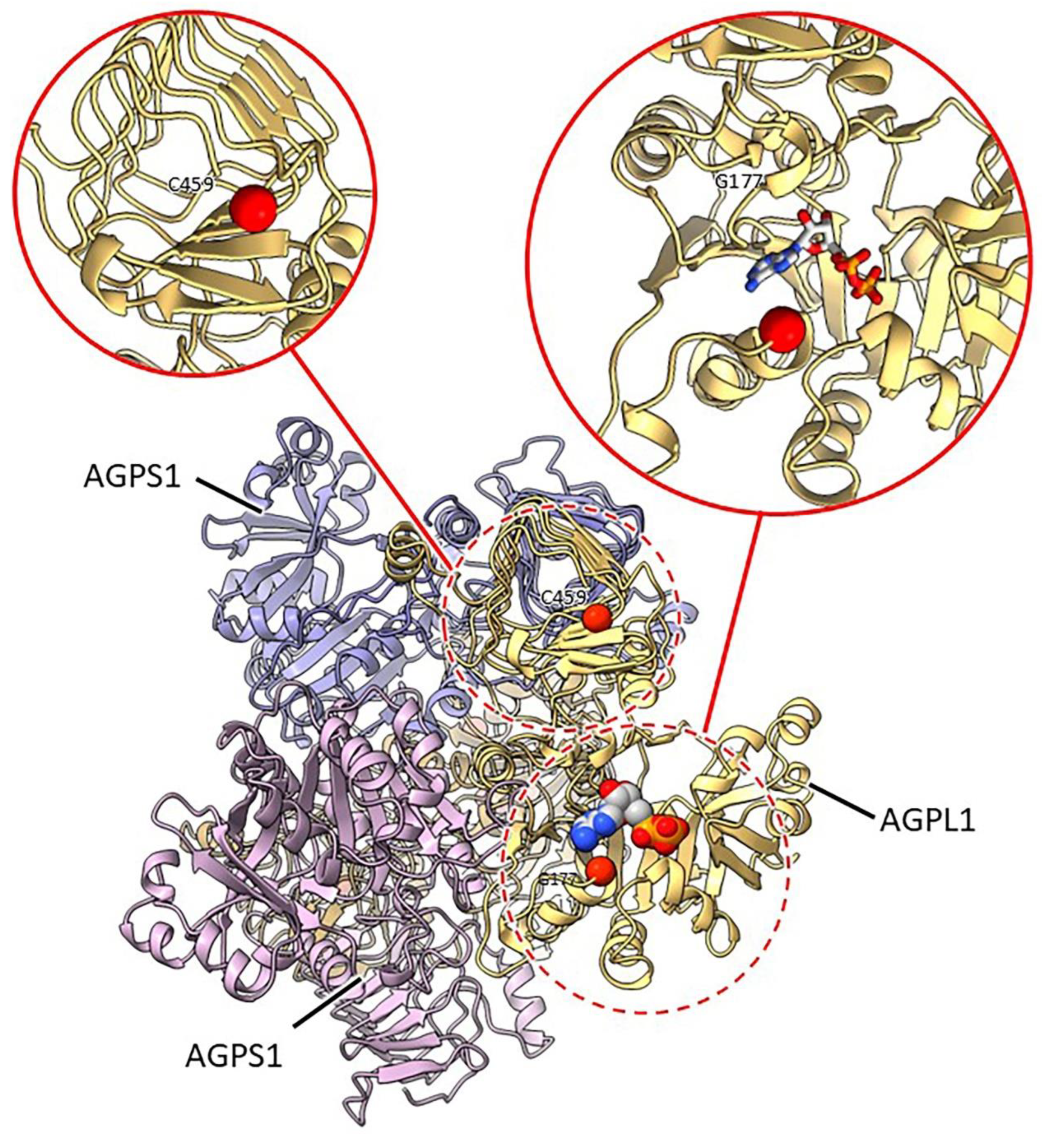 Preprints 143527 g003