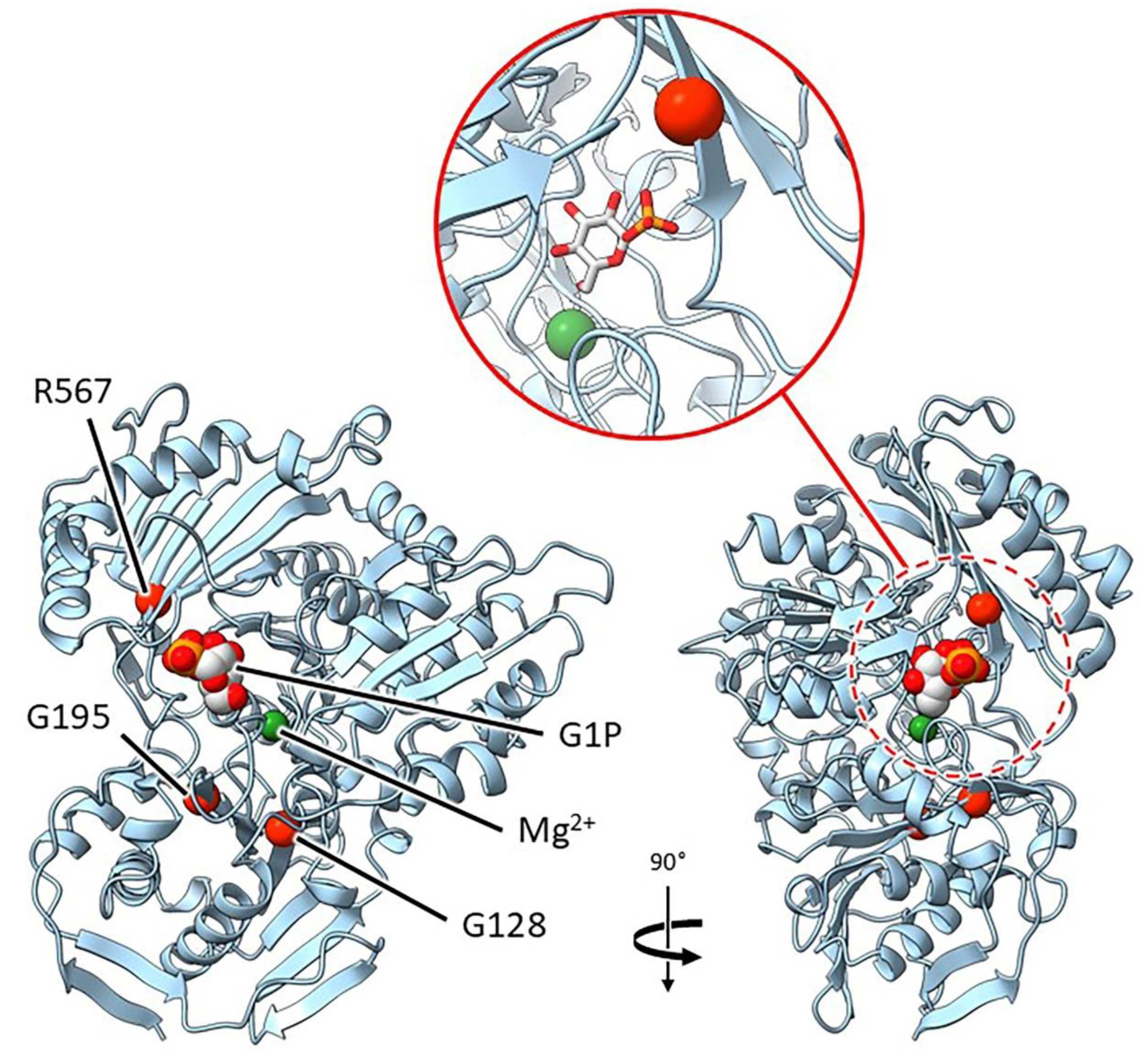 Preprints 143527 g004