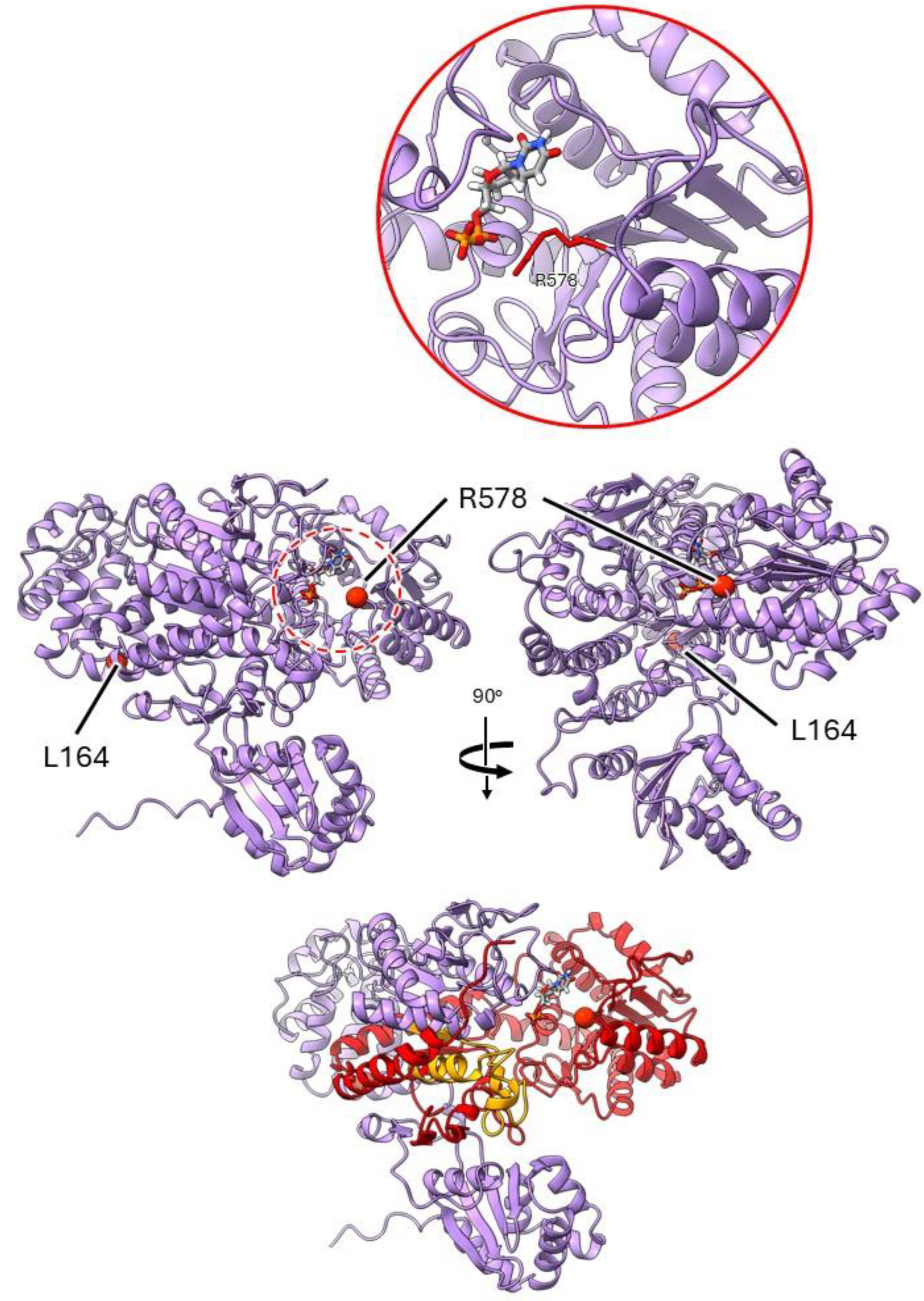 Preprints 143527 g005