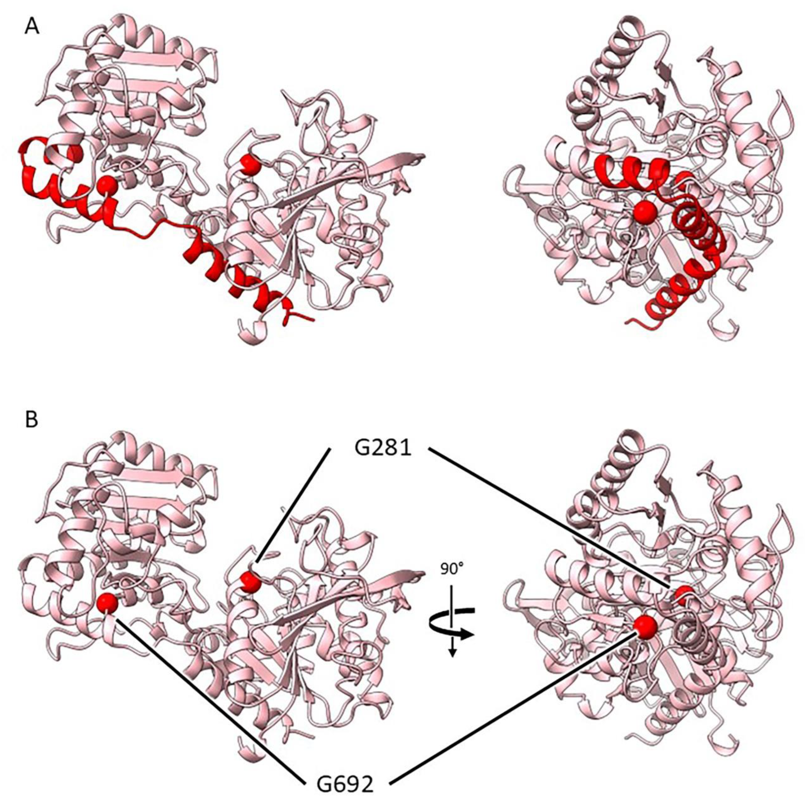 Preprints 143527 g006