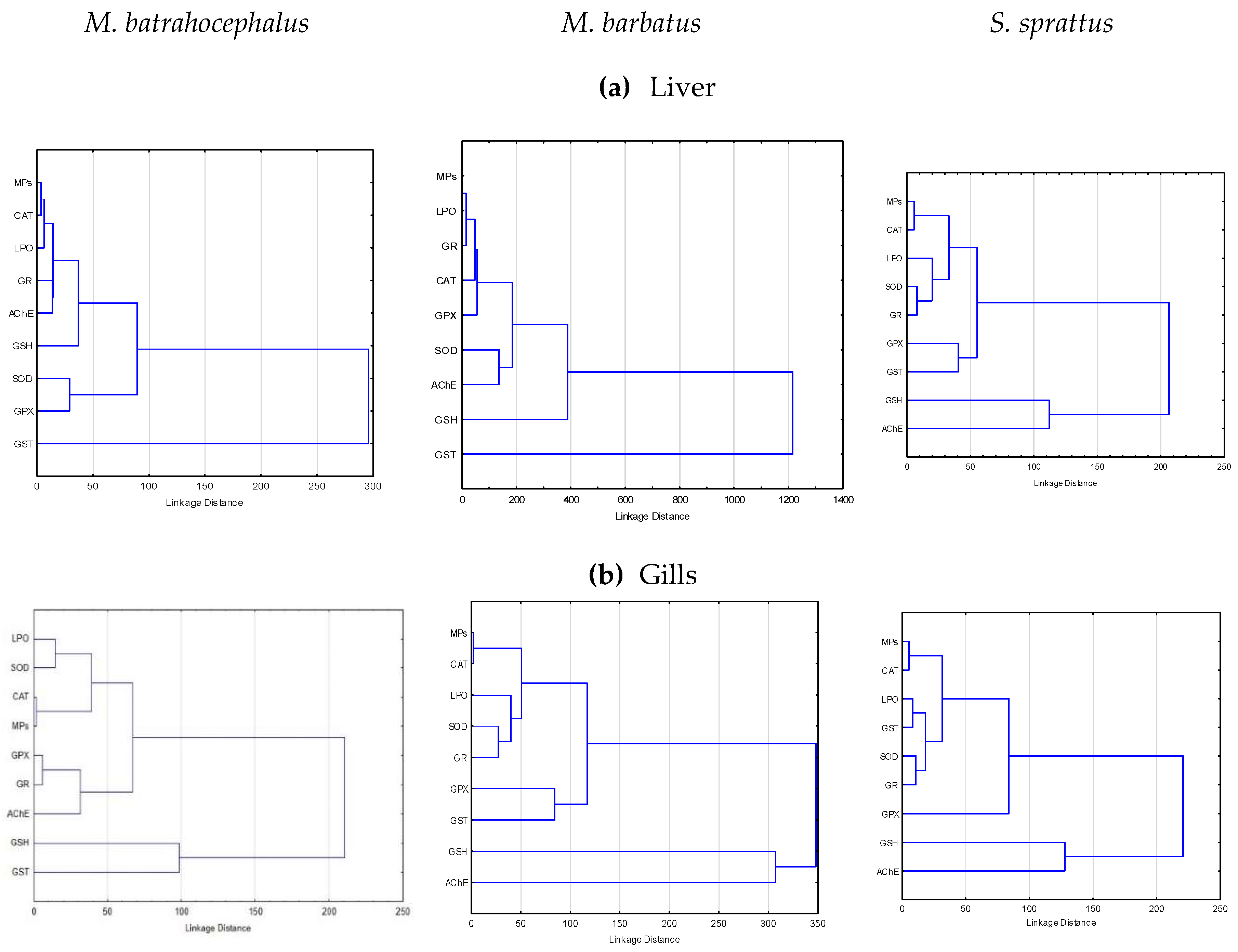 Preprints 162362 g006