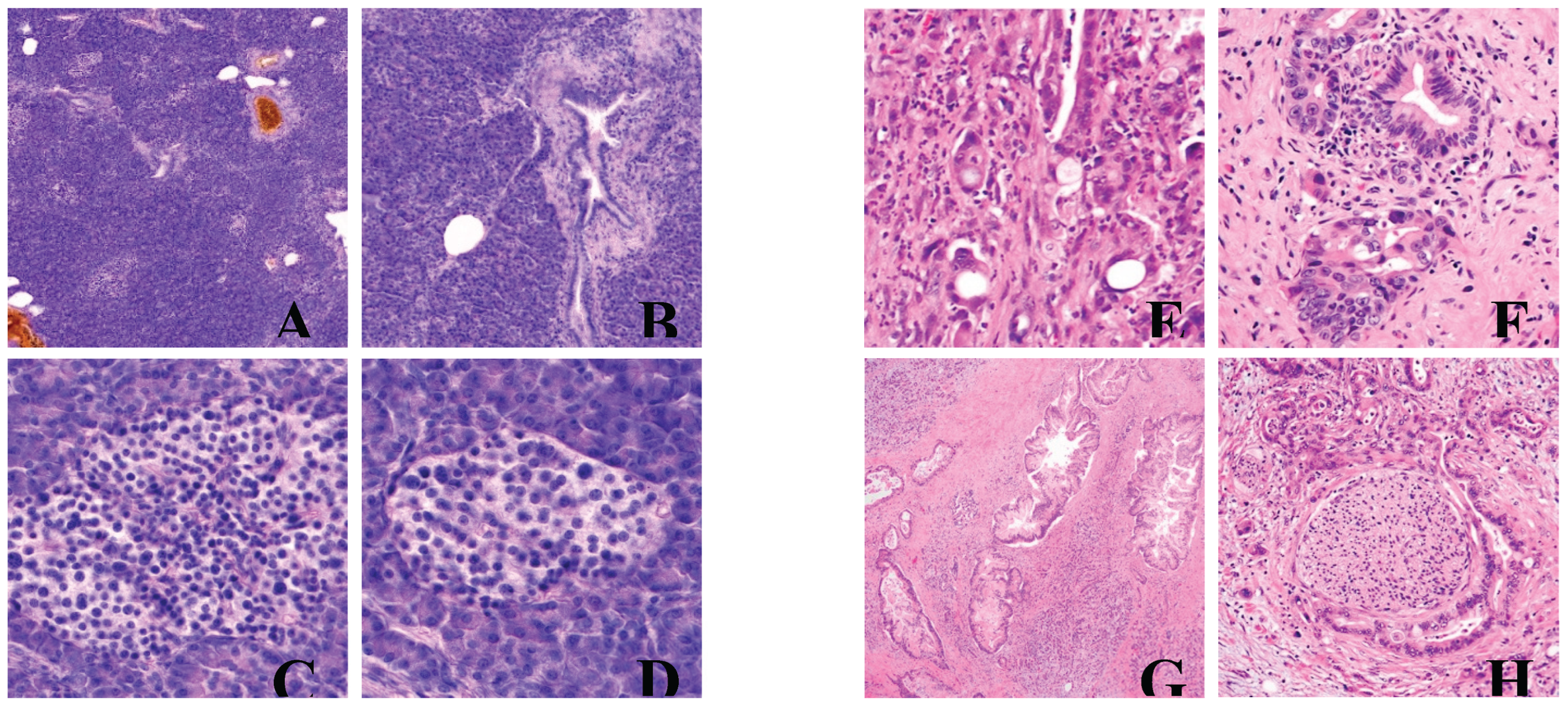 Preprints 182282 g001