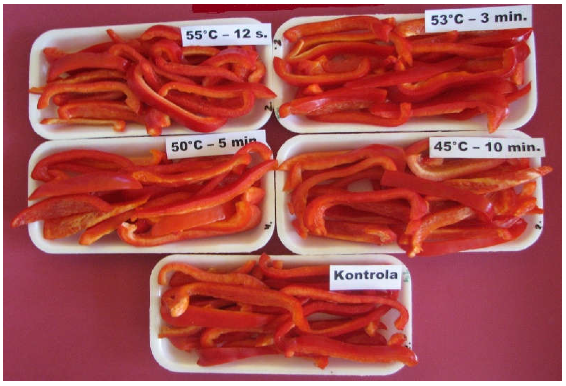 Preprints 159671 g001