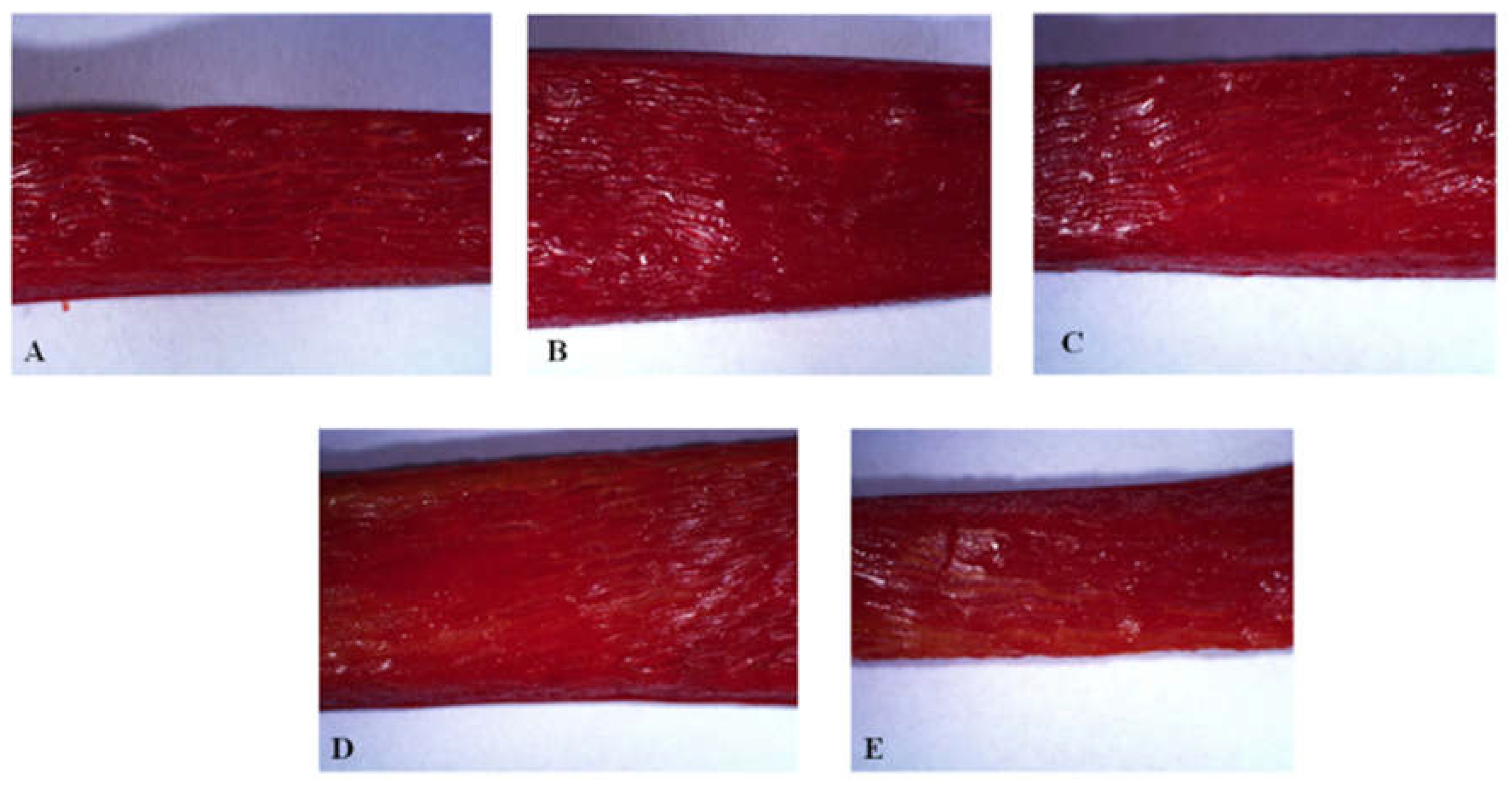 Preprints 159671 g003