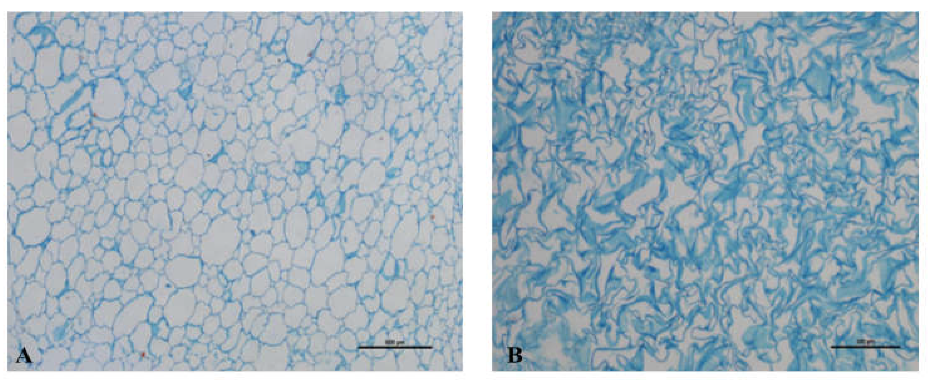 Preprints 159671 g006