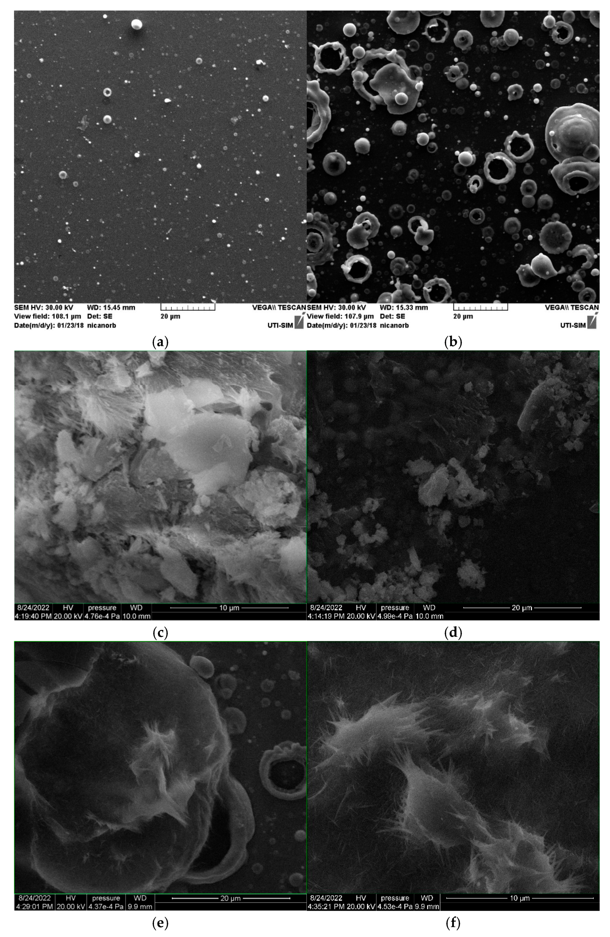 Preprints 218111 g003