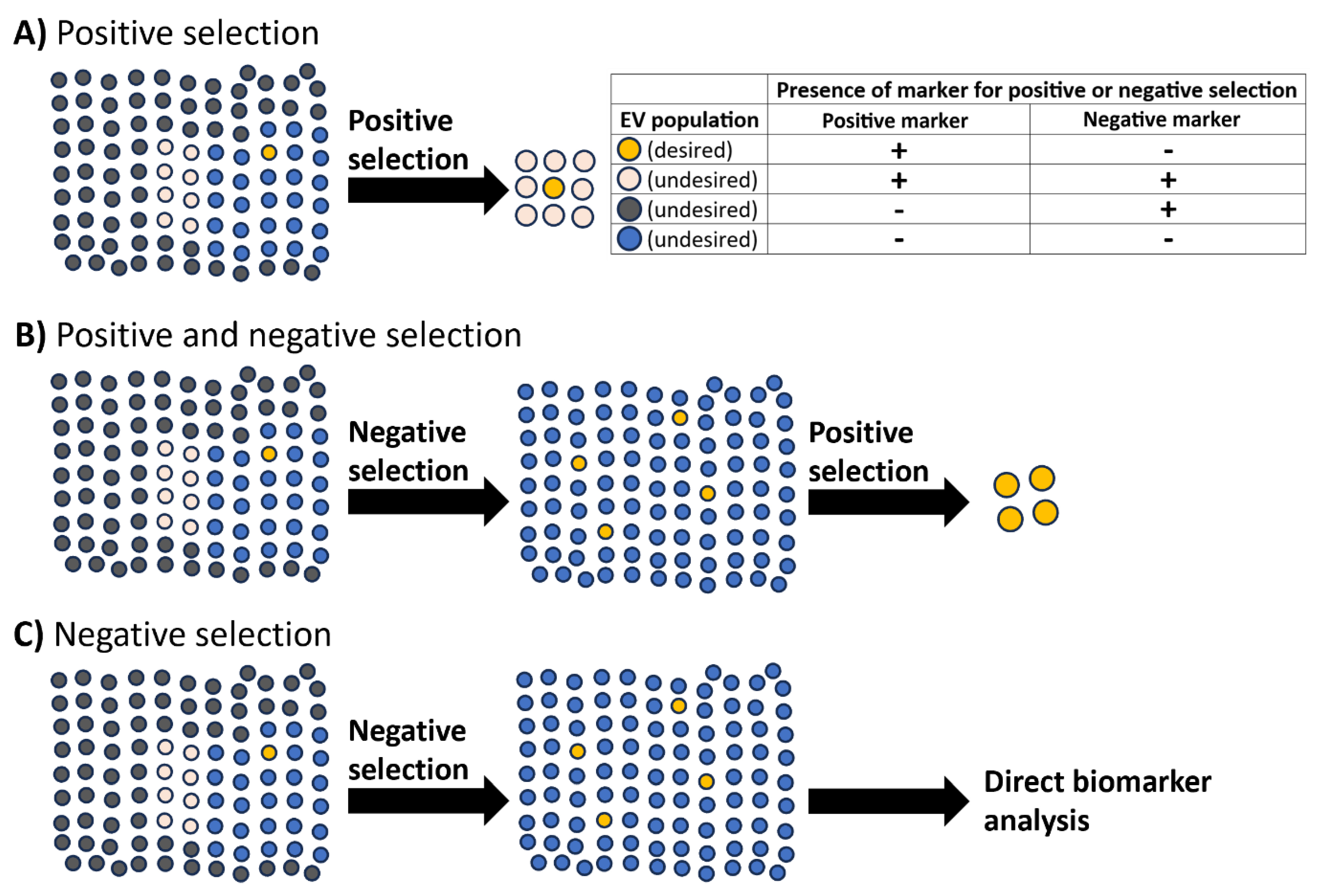 Preprints 190808 g001